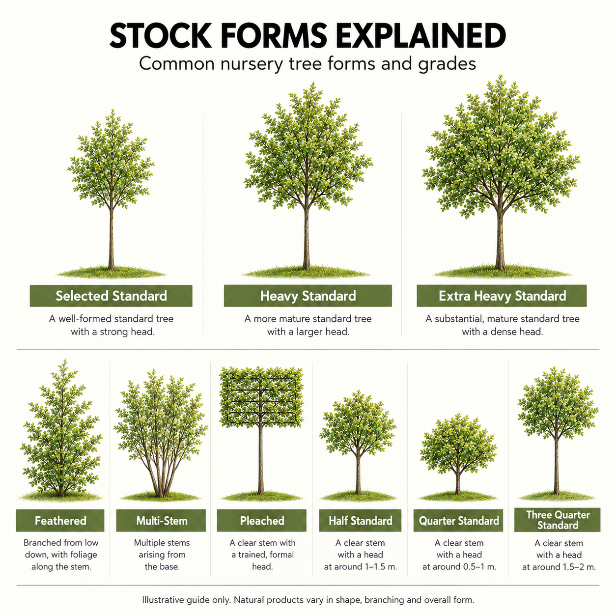 stock-forms-explained.png