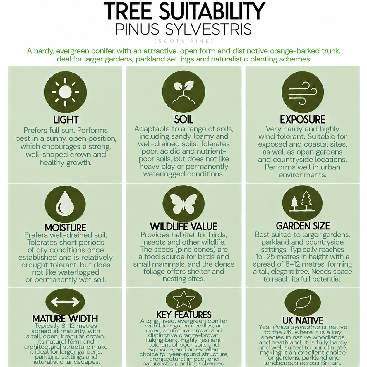 tree-suitability-guide-pinus-sylvestris.png
