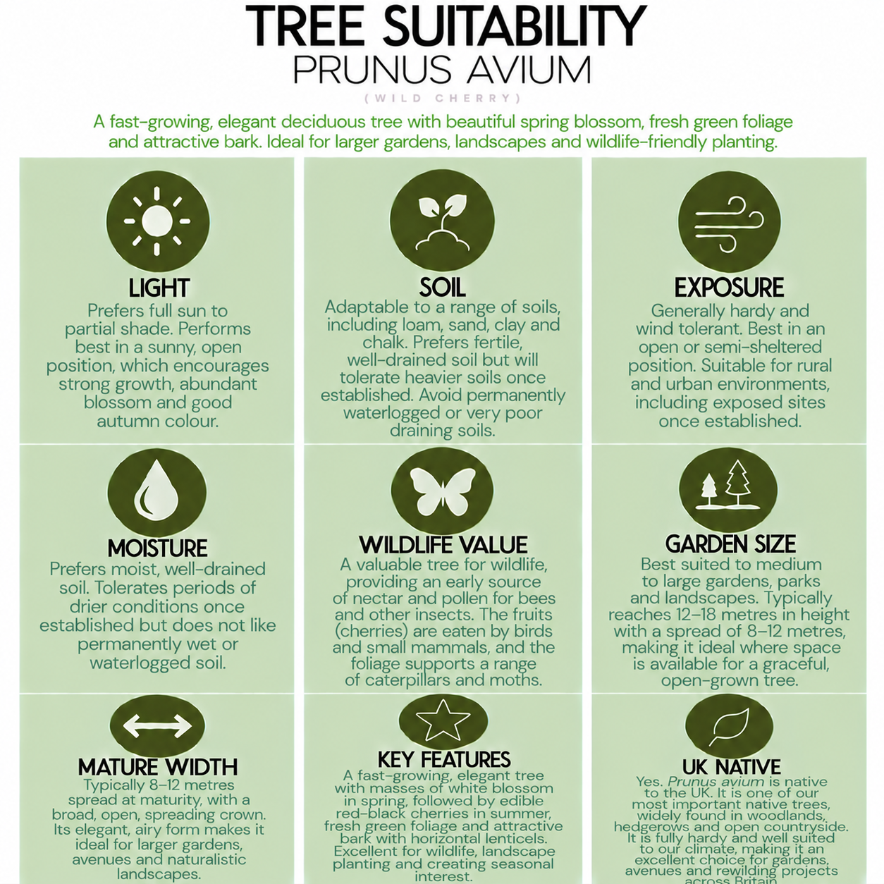 tree-suitability-guide-prunus-avium.png