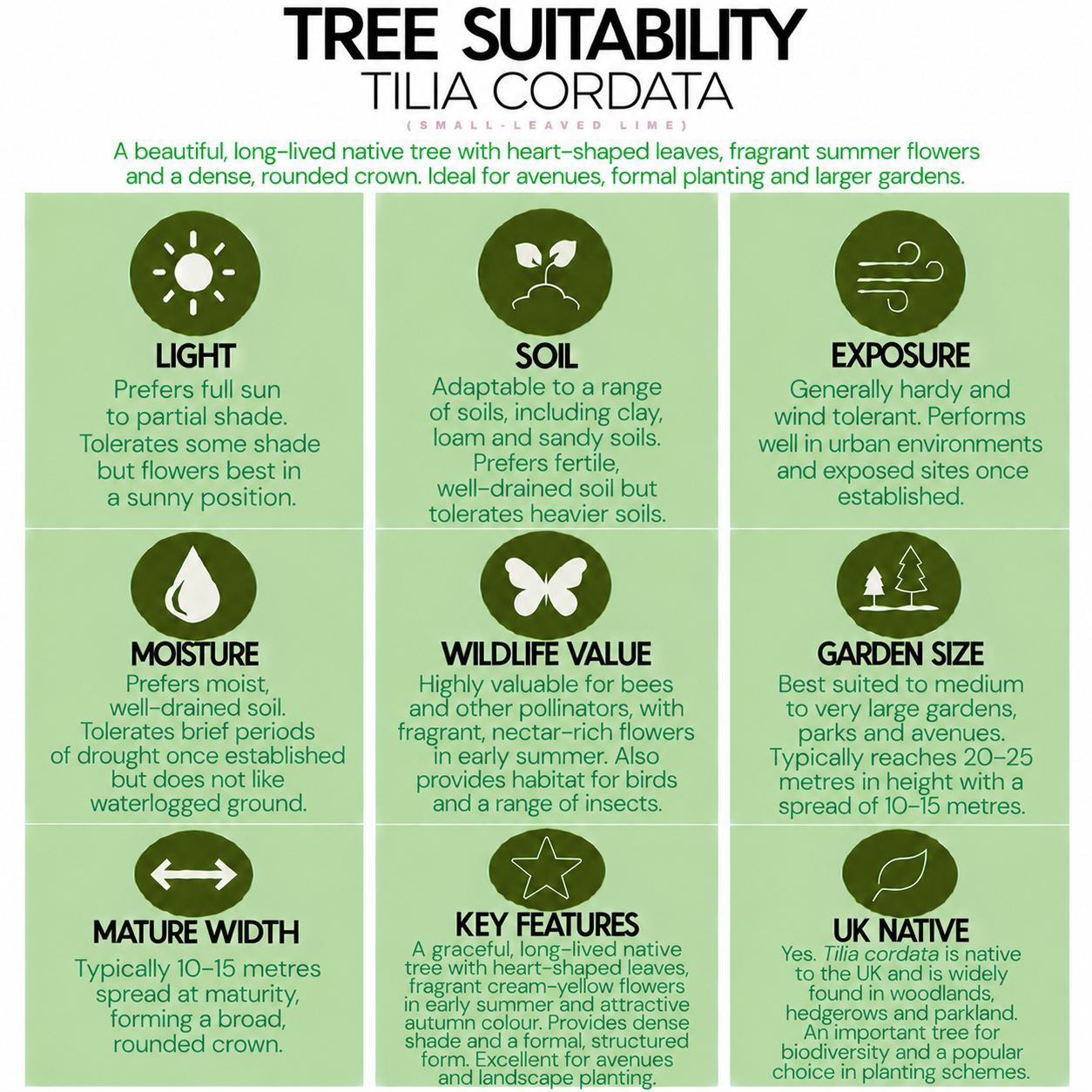 tree-suitability-guide-tilia-cordata.png