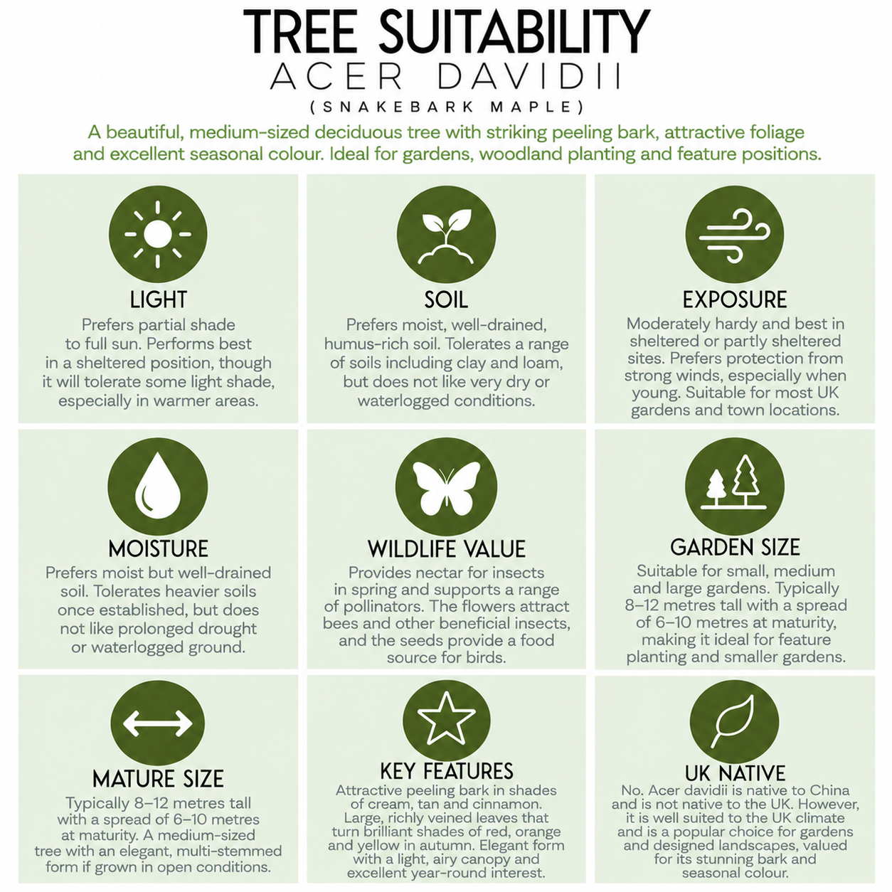 Tree Suitability_ Acer Davidii Guide.png