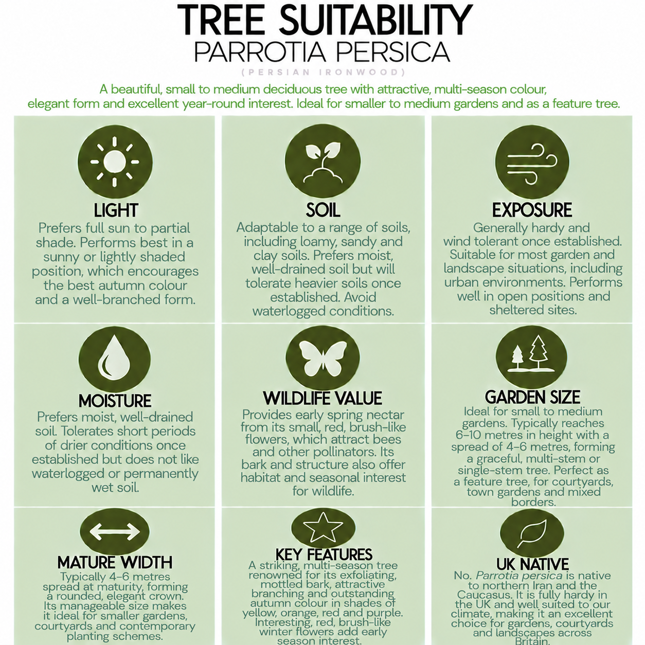 tree-suitability-guide-parrotia-persica.png
