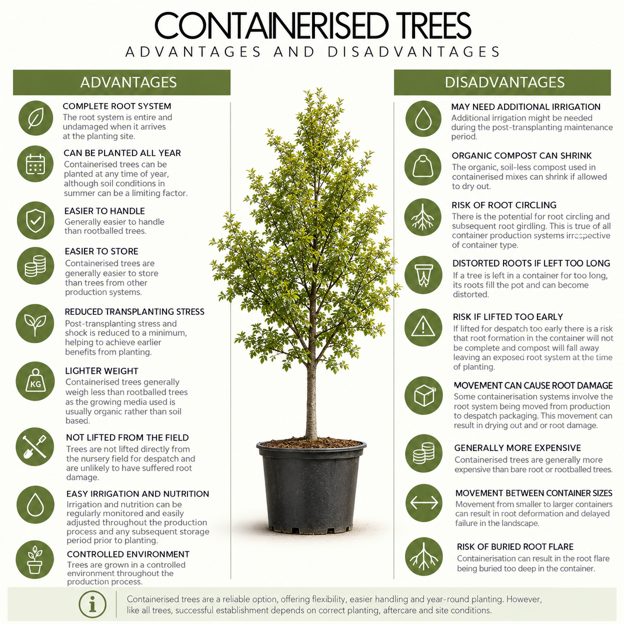 containerised-trees-pros-and-conss.png