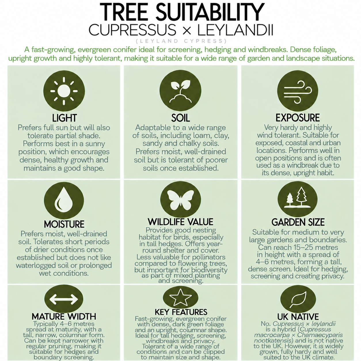 tree-suitability-guide-cupressus-x-leylandii.png
