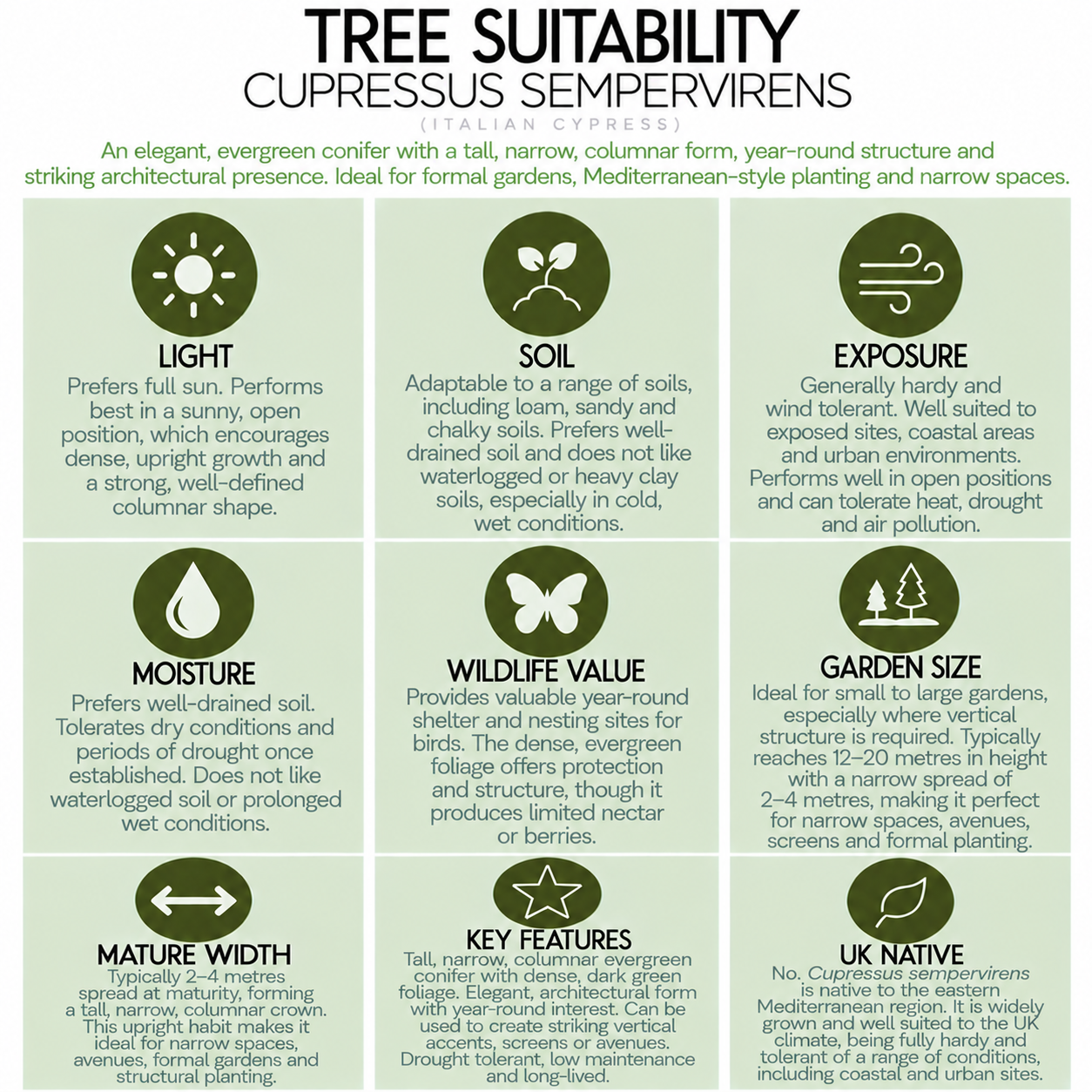 tree-suitability-guide-cupressus-sempervirens.png