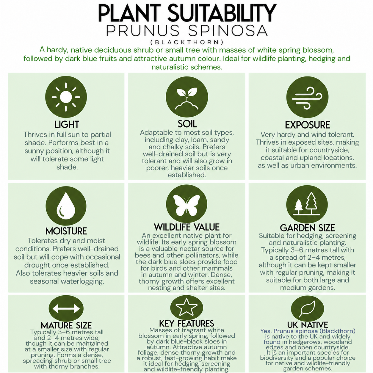 tree-suitability-guide-prunus-padus.png