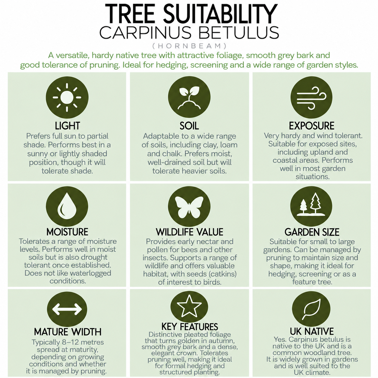 tree-suitability-guide-carpinus-betulus.png