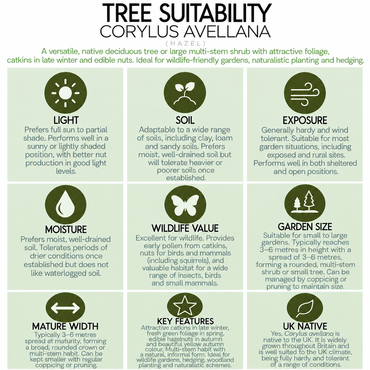 tree-suitability-guide-corylus-avellana.png