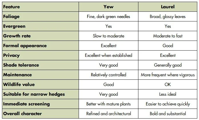 Comparison table of Yew and Laurel plants, listing features such as foliage, evergreen, growth rate, appearance, privacy, shade tolerance, maintenance, wildlife value, suitability for narrow hedges, immediate screening, and overall character.