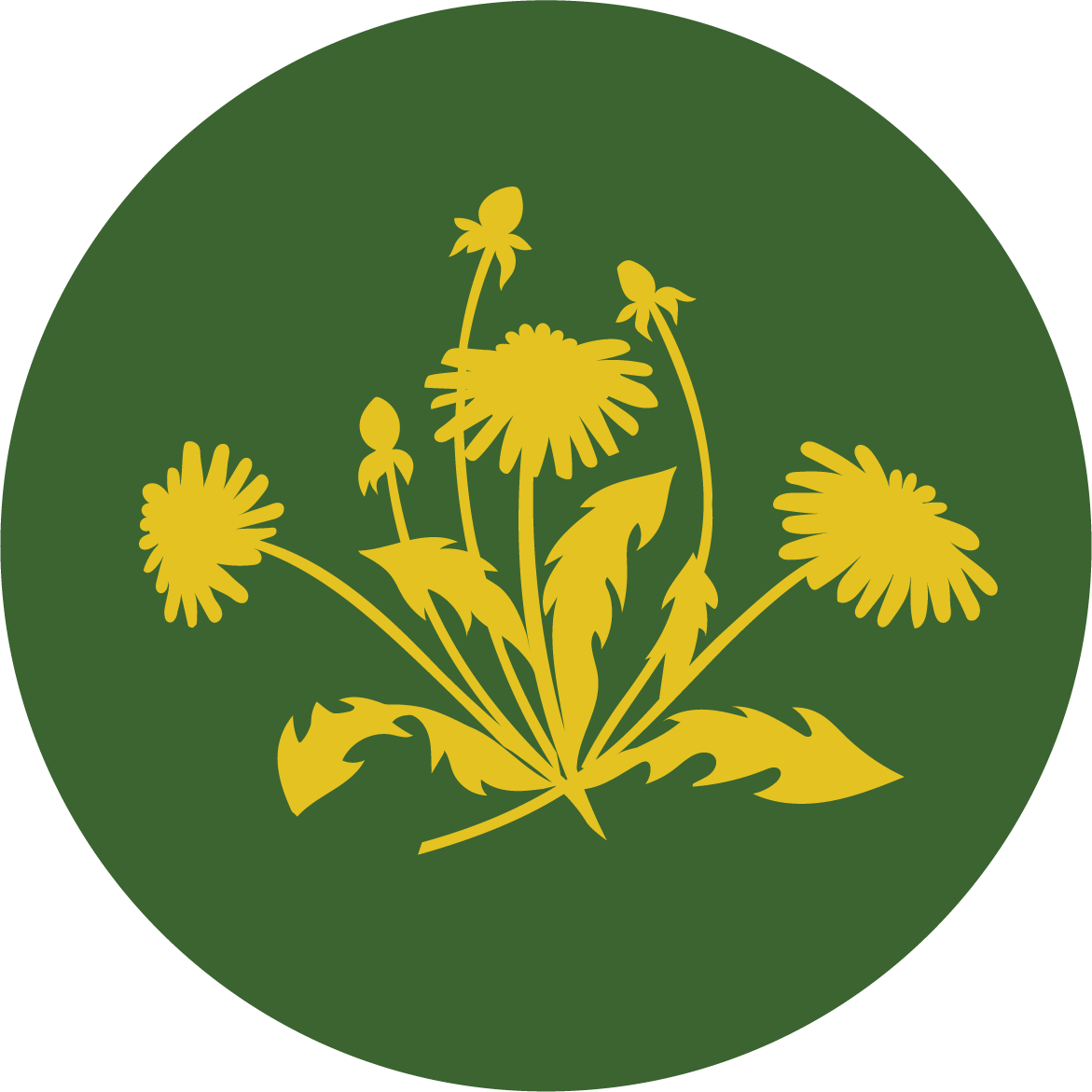 DFG-logo-spring.png