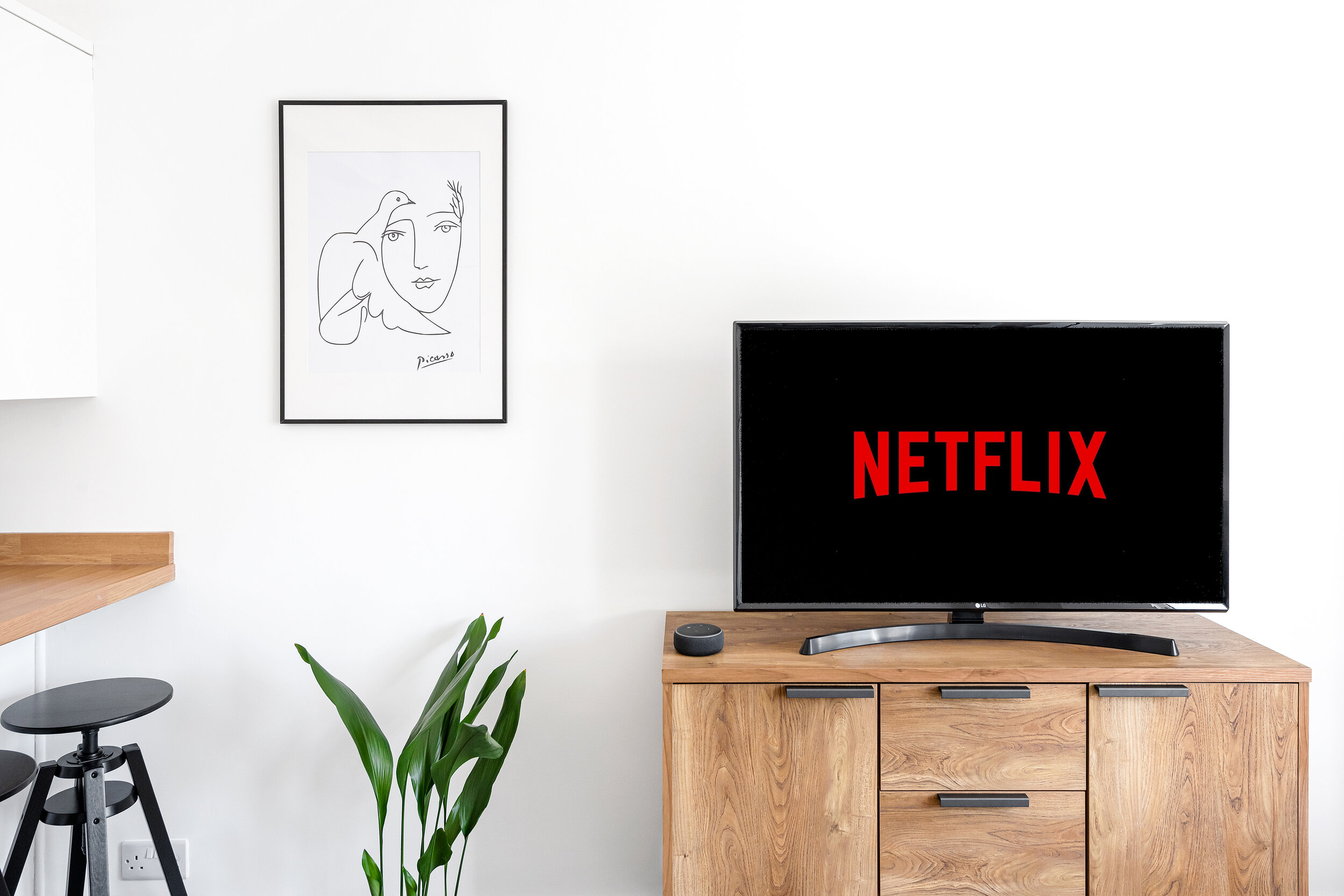 Living room with a wooden cabinet, flat-screen TV displaying 'NETFLIX' in red, framed line-art portrait on white wall, green plant in foreground, black stool, and part of a white wall.