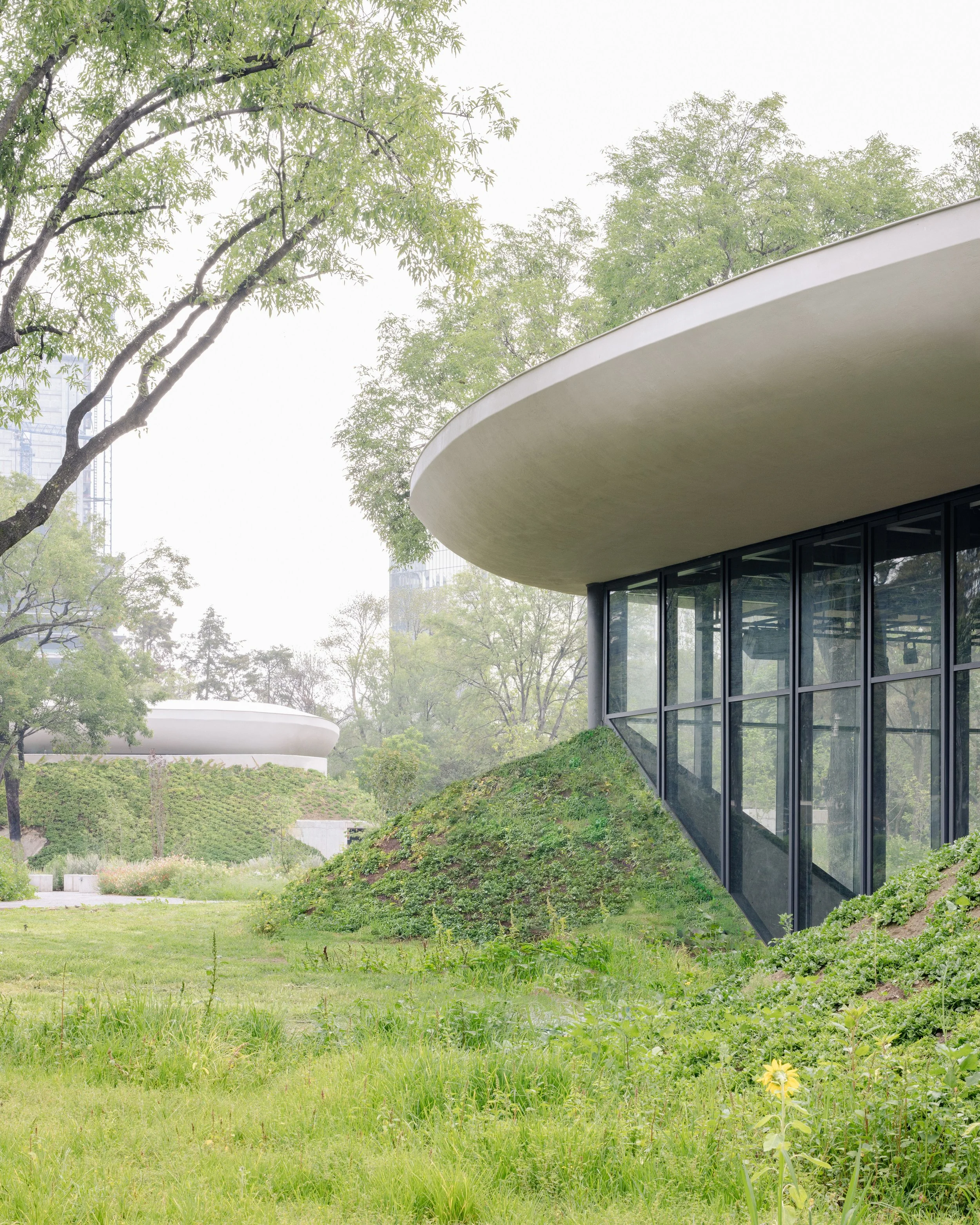 ATF_PR_SM_MA_First Project in Detroit.jpg