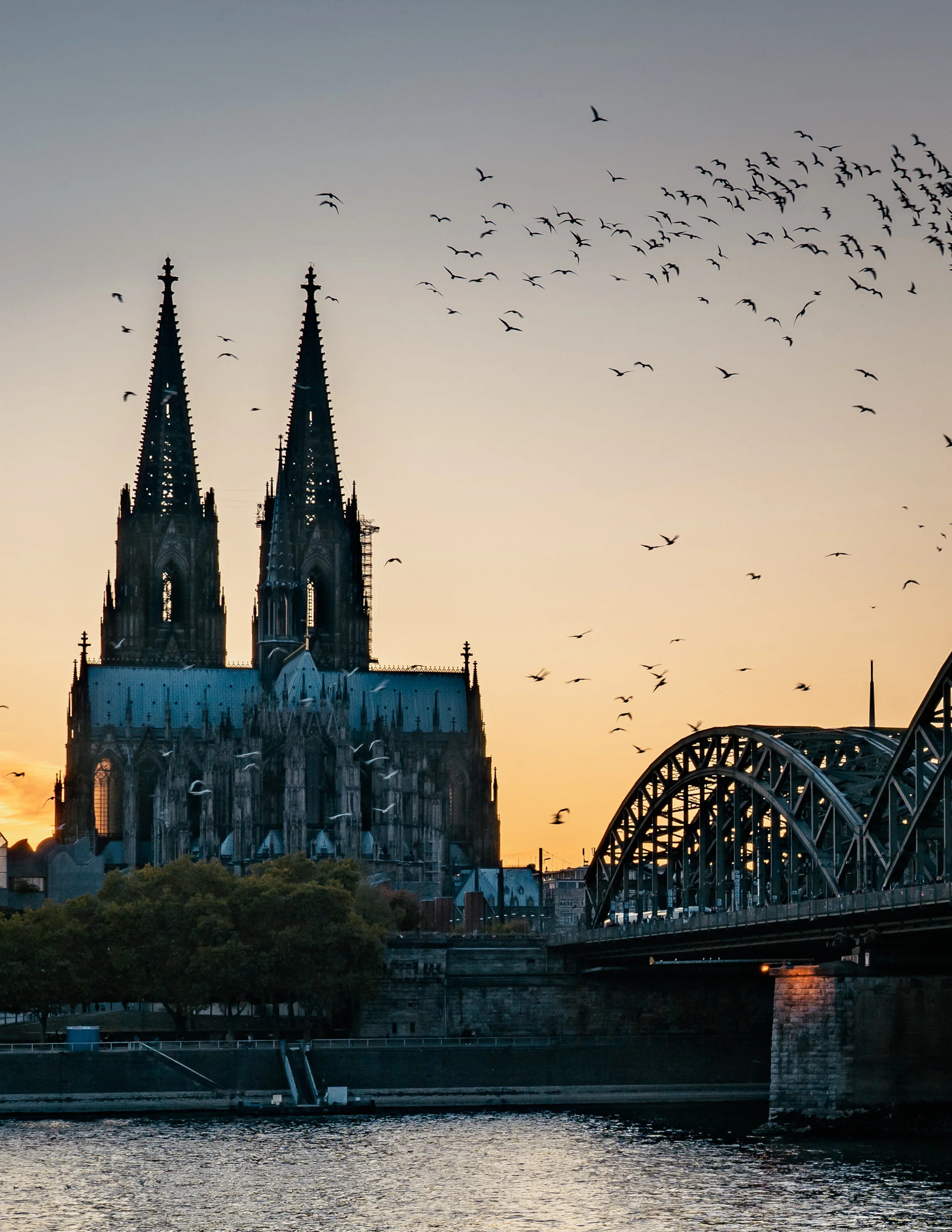 DSC01402.jpg