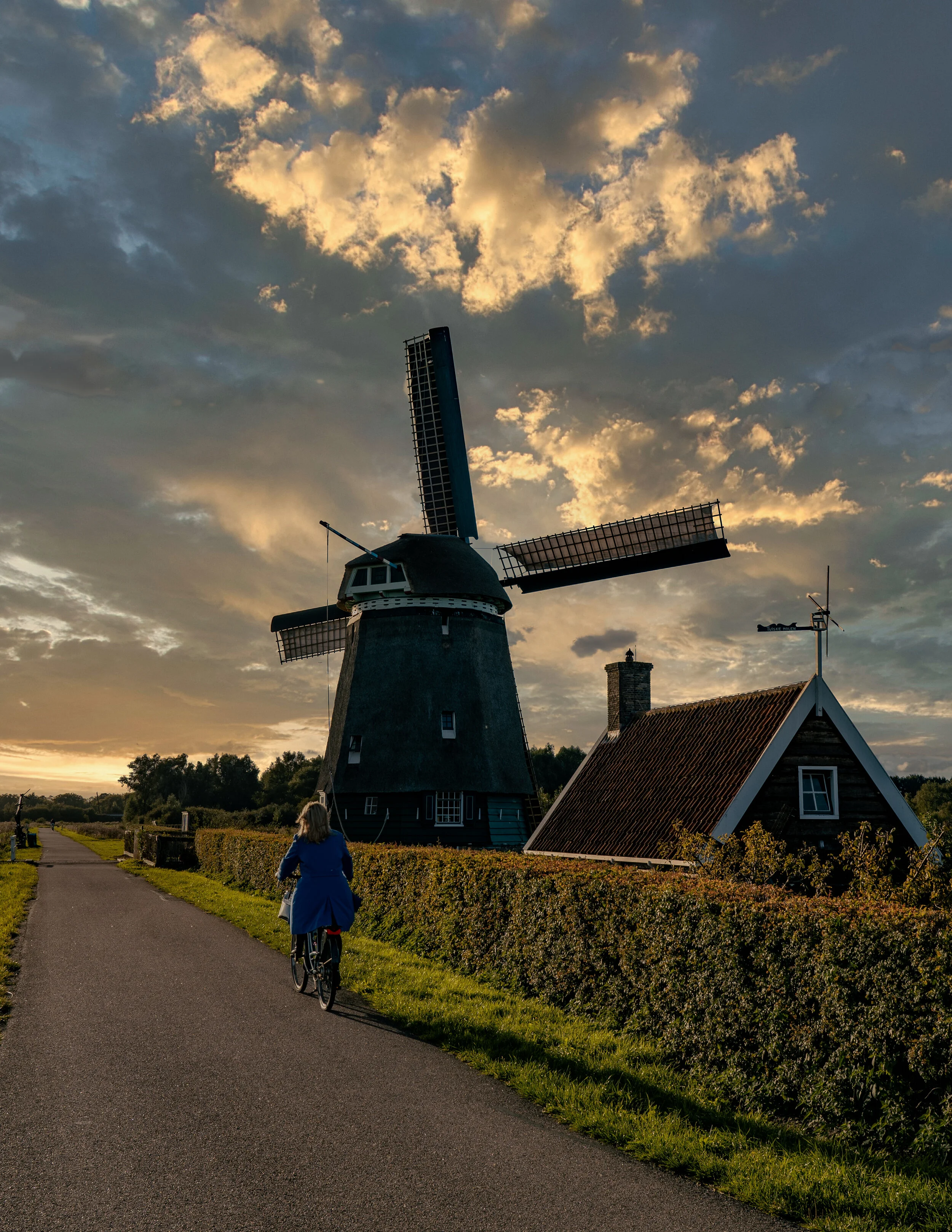 DSC01335-Edit.jpg