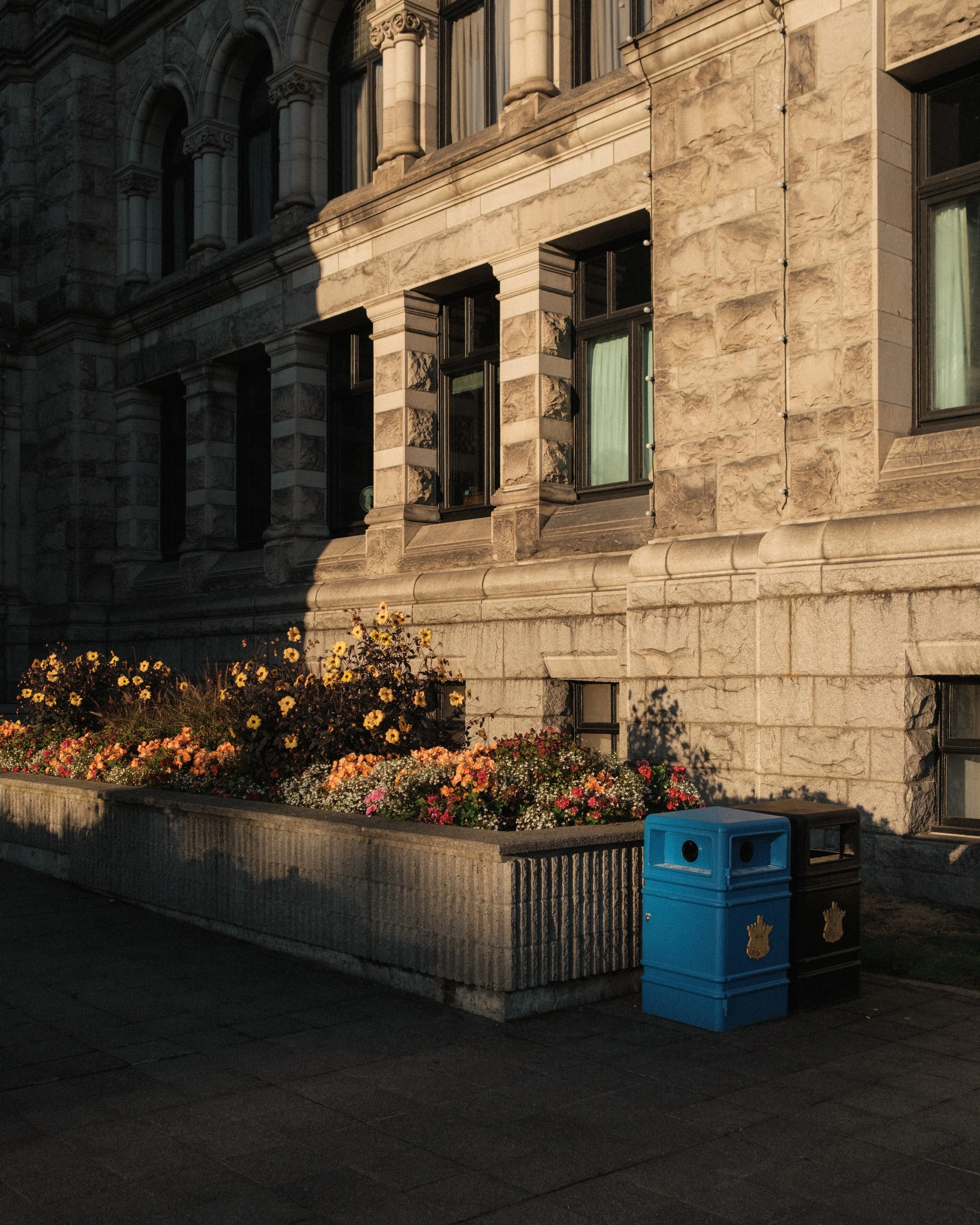 DSCF6654.jpg