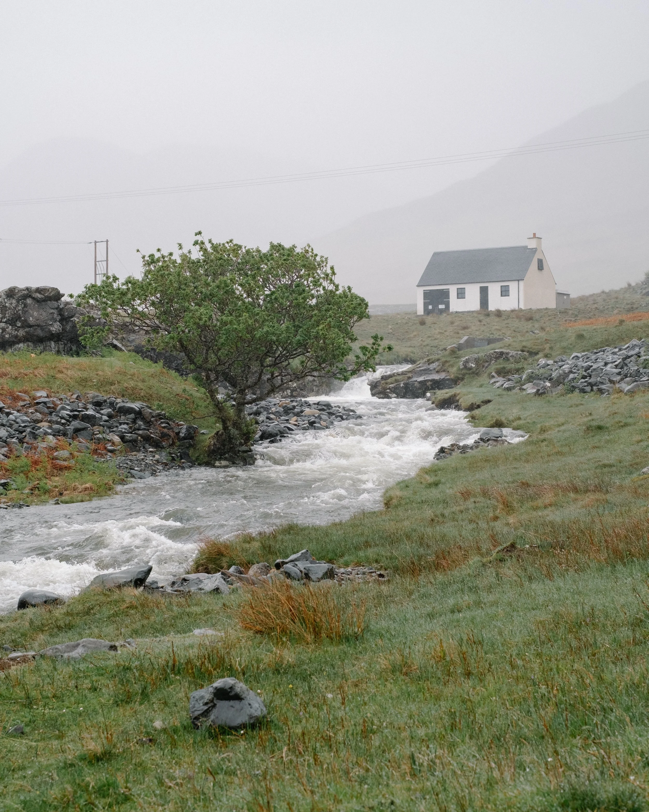 DSCF8807.jpg