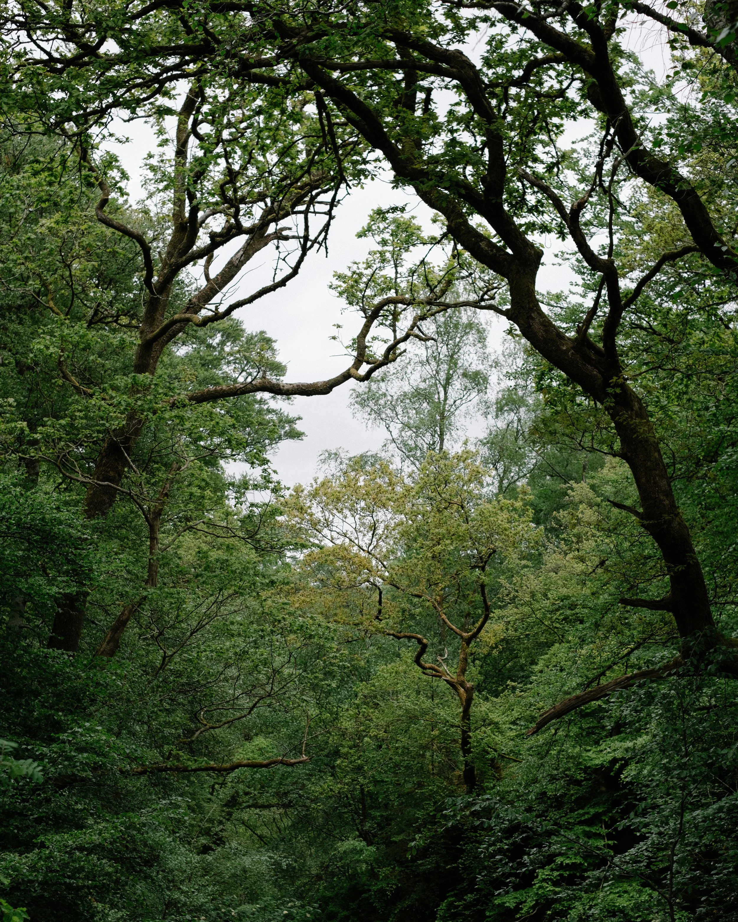 DSCF8583.jpg