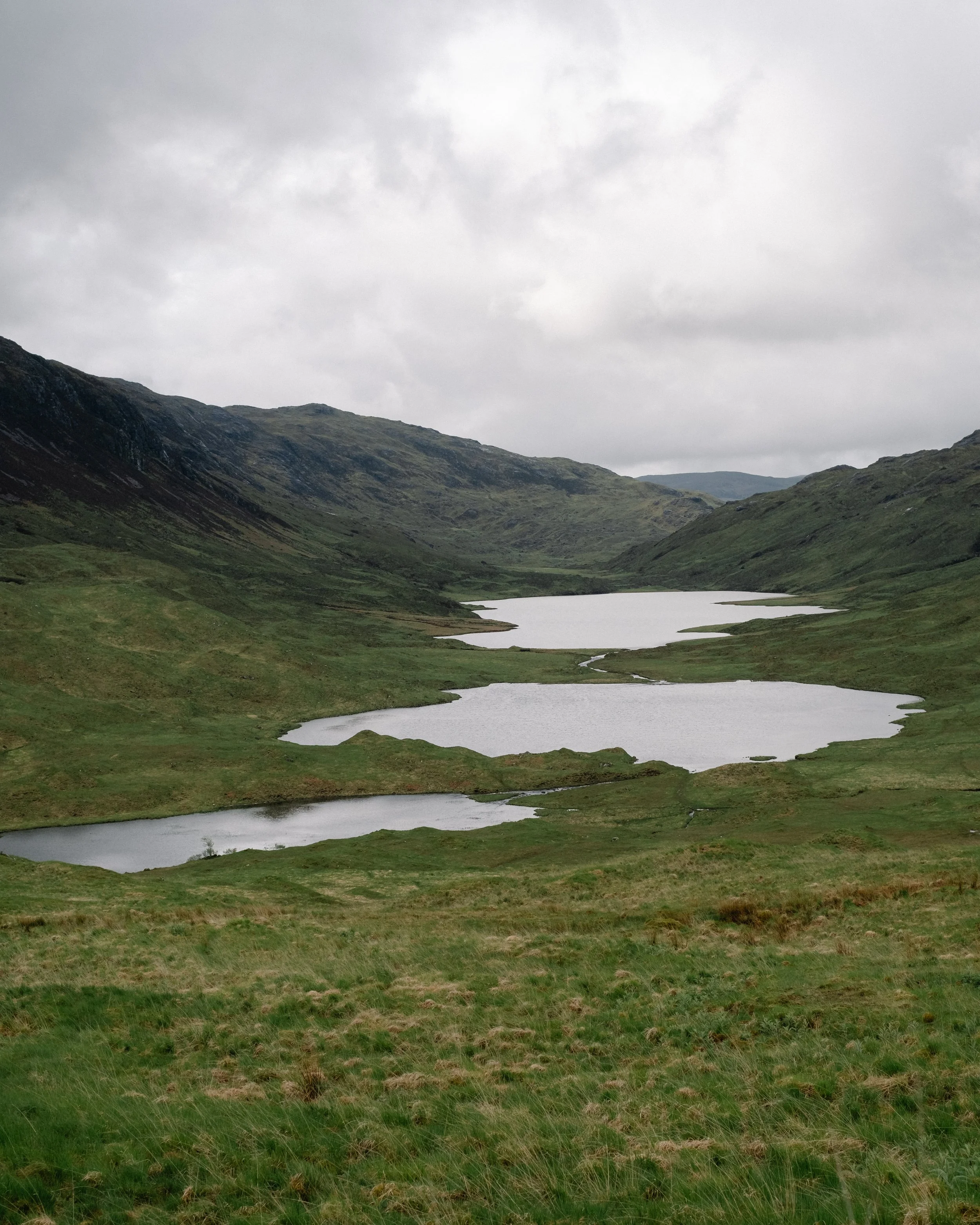 DSCF8901.jpg