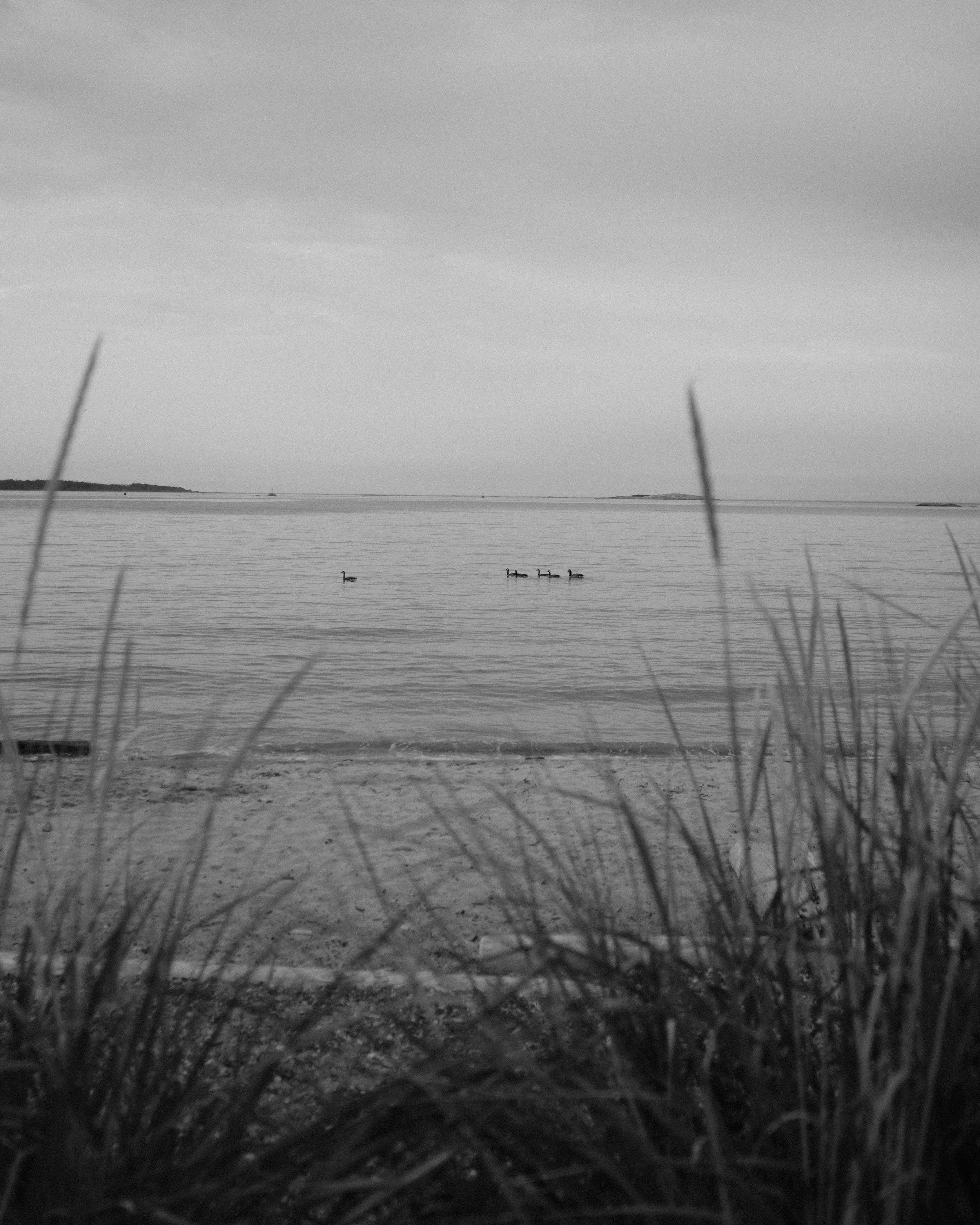 DSCF1348.jpg