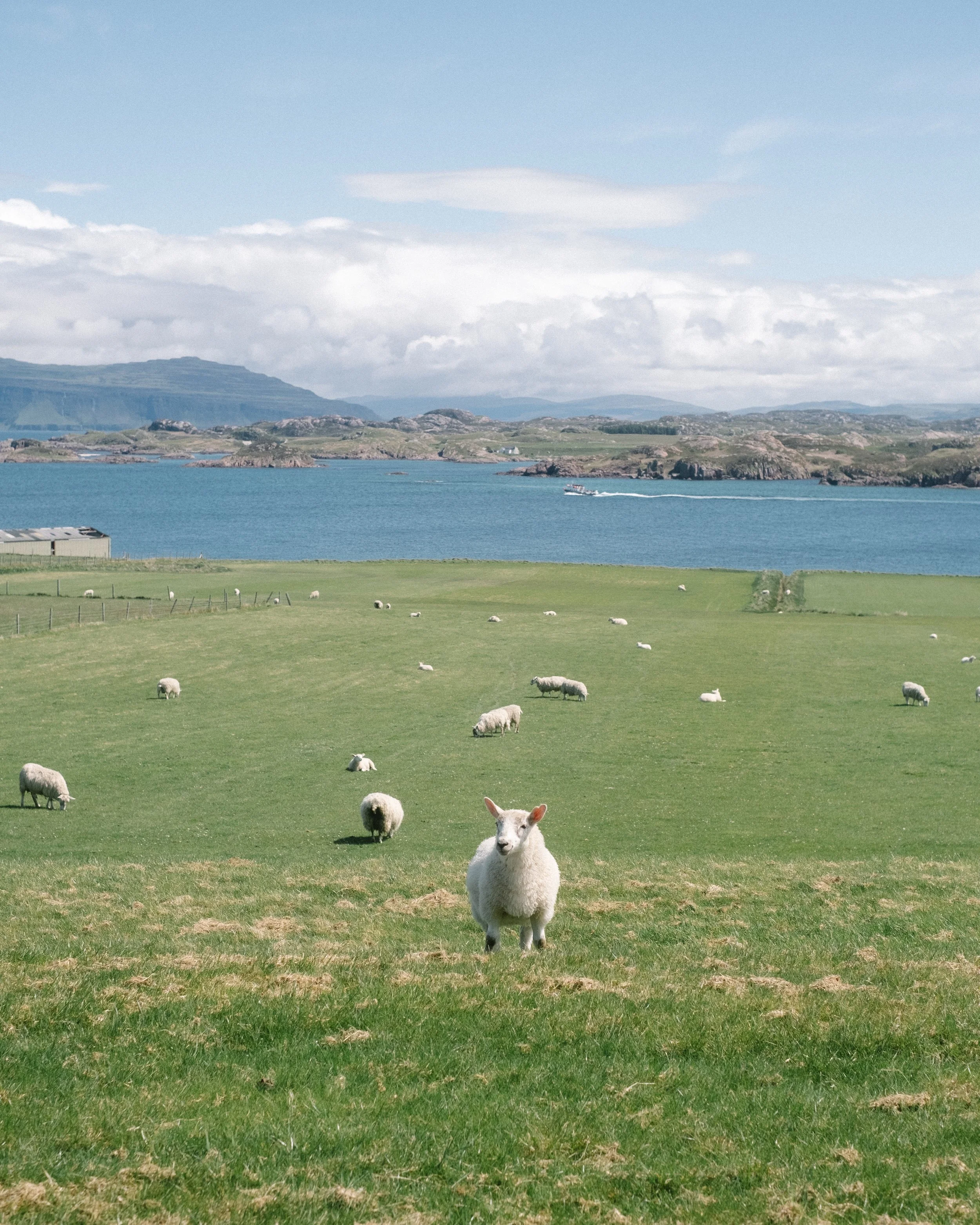 DSCF8945.jpg