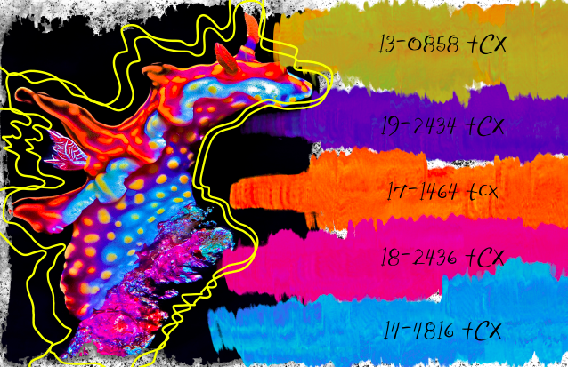 Screen Shot 2020-06-02 at 5.29.42 PM.png
