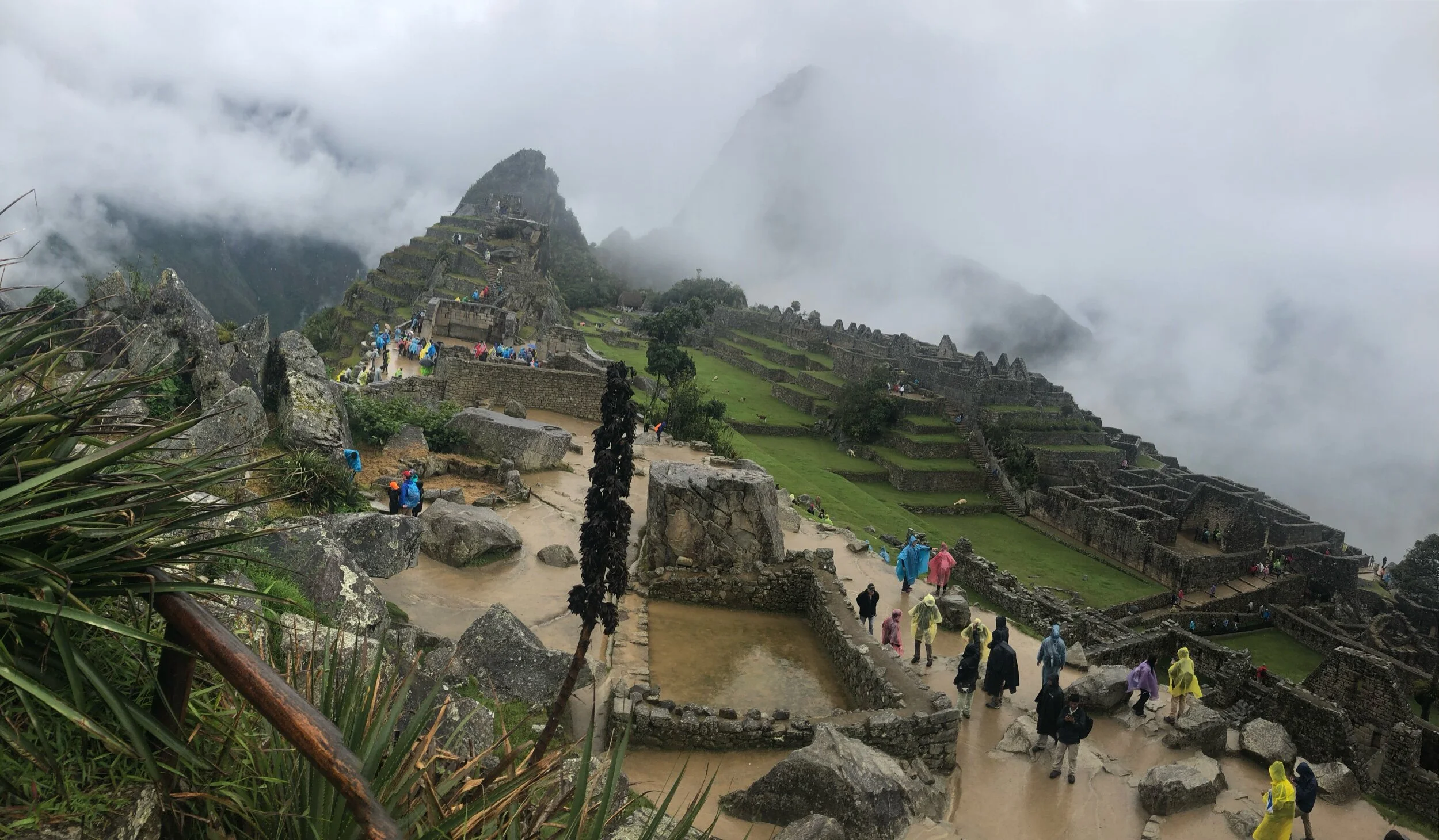 Macu Picchu, Peru, 2019