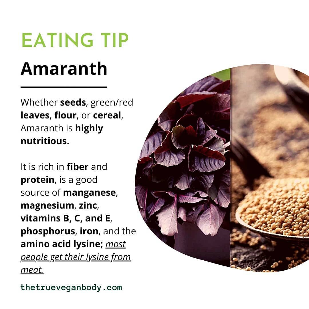 8 facts about Amaranth:

🍃  Rich in fiber, amaranth seeds are a complete protein with anti-inflammatory and antioxidant properties. 

🍃  Compared to other greens, amaranth leaves contain three times more calcium and Vit. B3 than spinach leaves, twe