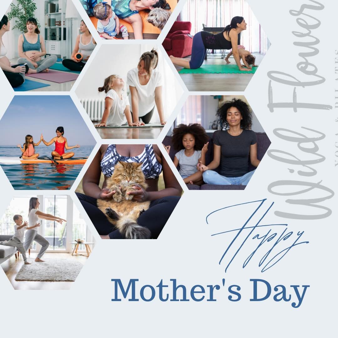 Today we celebrate mothers. Mother&rsquo;s Day can be joyous for some and very hard for others. We see and hear you. Today we wish peace and happiness for all who associate. 

Mothers come in so many forms:
🤍fur mamas
🤍older siblings
🤍mothers
🤍gr