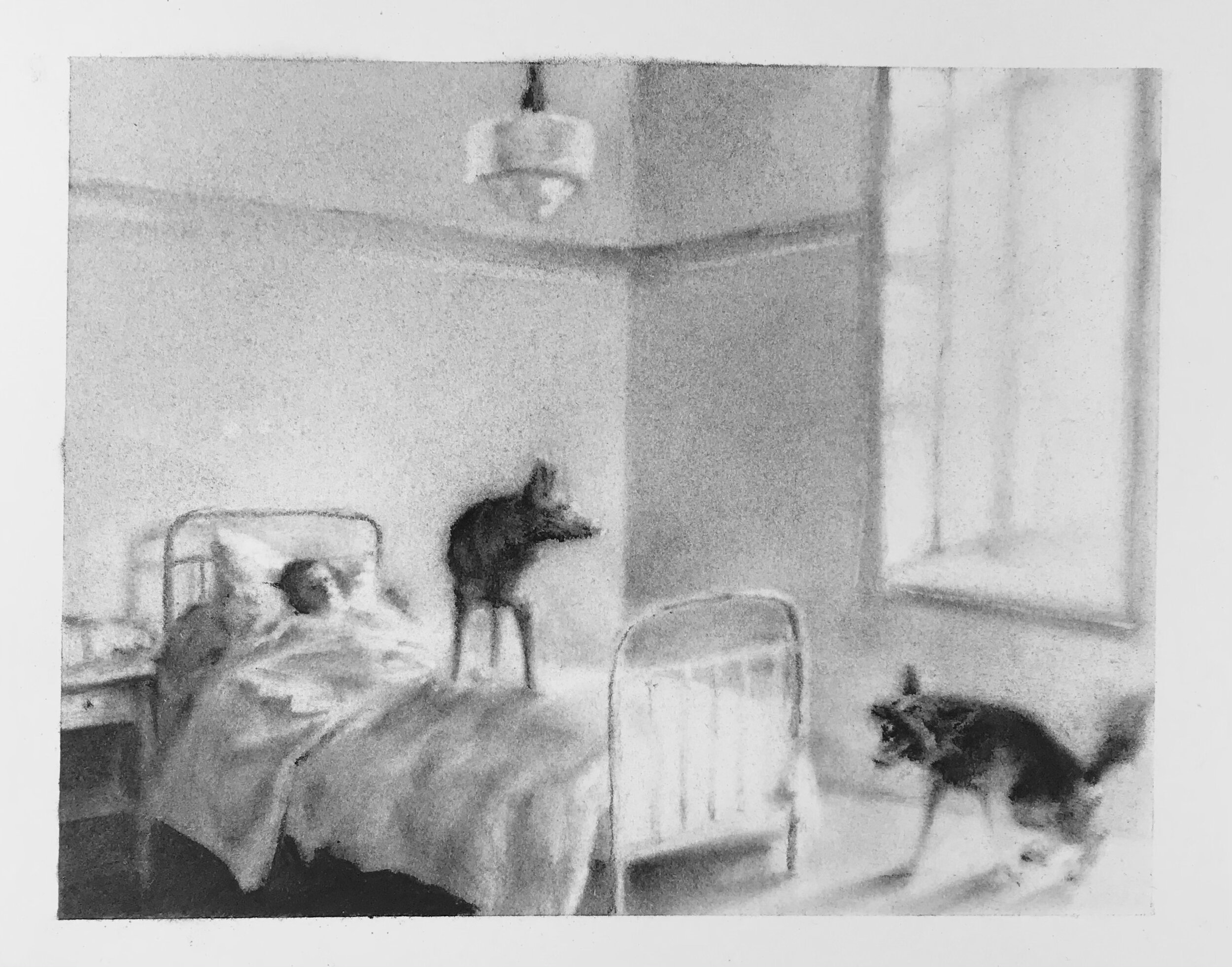 HOSPITAL SCENE (PATIENT WITH POLICE DOGS)