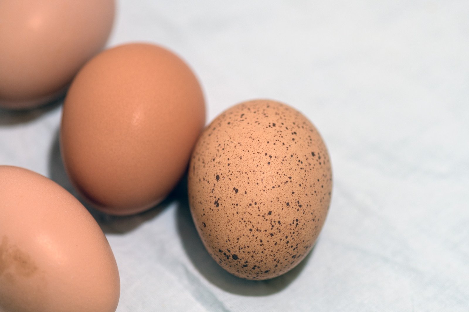 Macro photo of brown farm eggs on soft fabric – natural food photography for branding or local producers