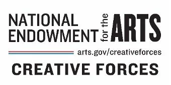 Veteran Writers Division Fall 2020 Enrollment Form