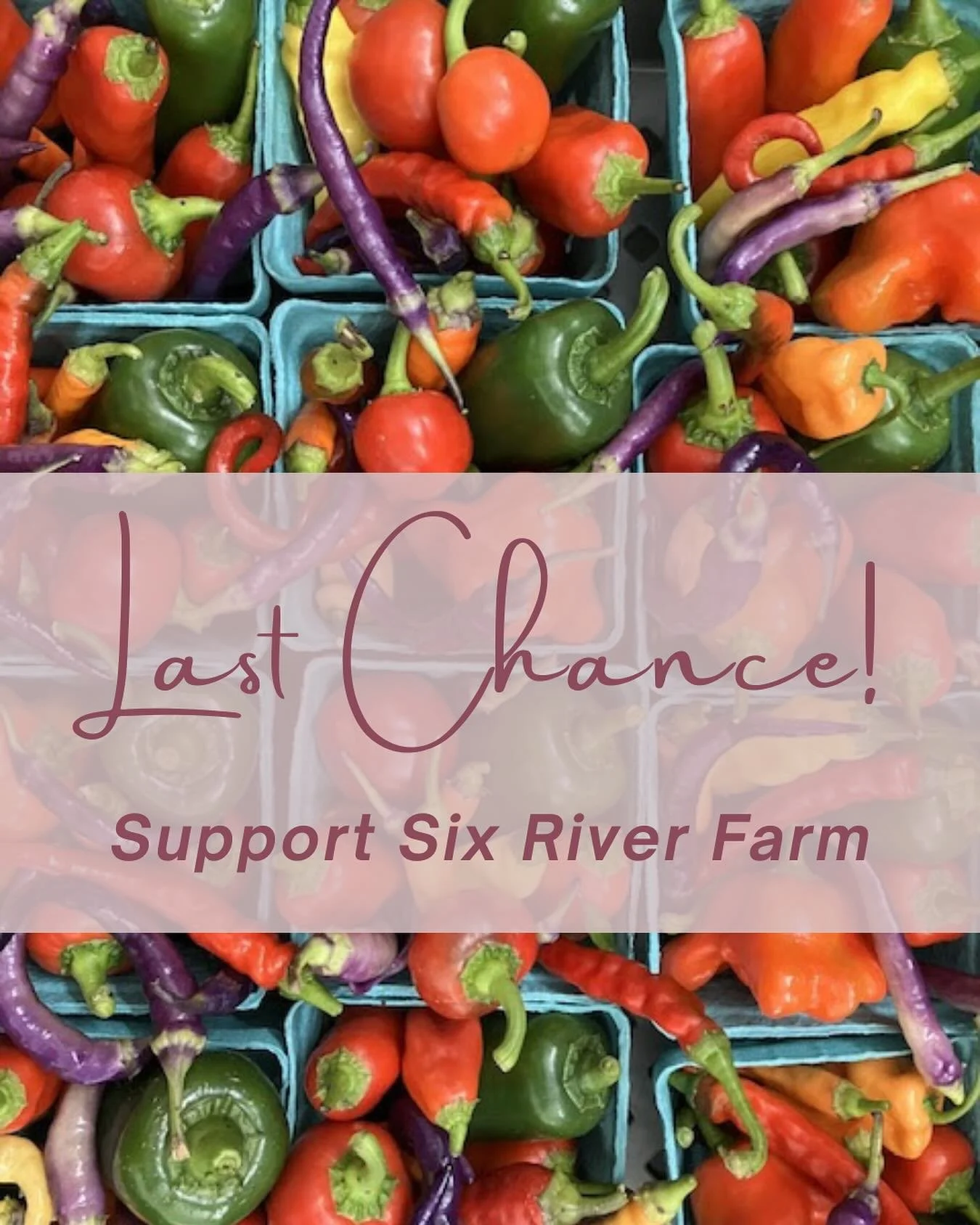 There&rsquo;s still time to make an impact!🫶

If you haven&rsquo;t donated yet, now&rsquo;s the perfect opportunity to support Six River Farm and help bring fresh, local, organic food to families throughout southern Maine. Through this partnership, 