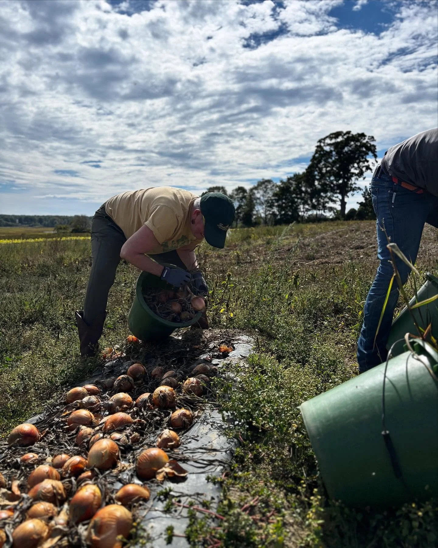 🧡Together, We Can Make Thanksgiving Happen for Maine Families🧡

This week is the lead-up to Thanksgiving &mdash; a time when the need in our community grows, and our commitment to show up grows with it.

Our distribution partners, Wayside Food Prog