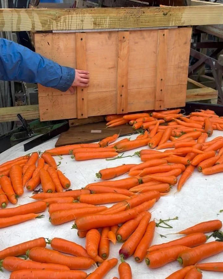 Thanksgiving Fund Reminder 🧡

THANK YOU to everyone who has already donated &mdash; your generosity is making a real impact.

We still need to raise funds to get 14,000+ lbs of fresh, local Thanksgiving produce out of the fields and into the hands o