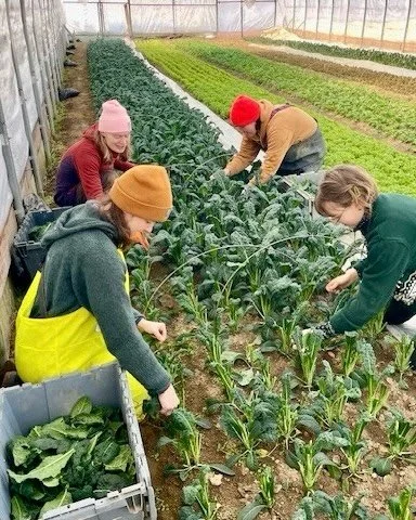 Farmers markets in winter? Absolutely. ❄️🌱

Outside, the snow is piled high. Inside Maine&rsquo;s greenhouses, farmers are growing vibrant greens and fresh food all winter long. Maine&rsquo;s farmers don&rsquo;t take a seasonal break, and winter far