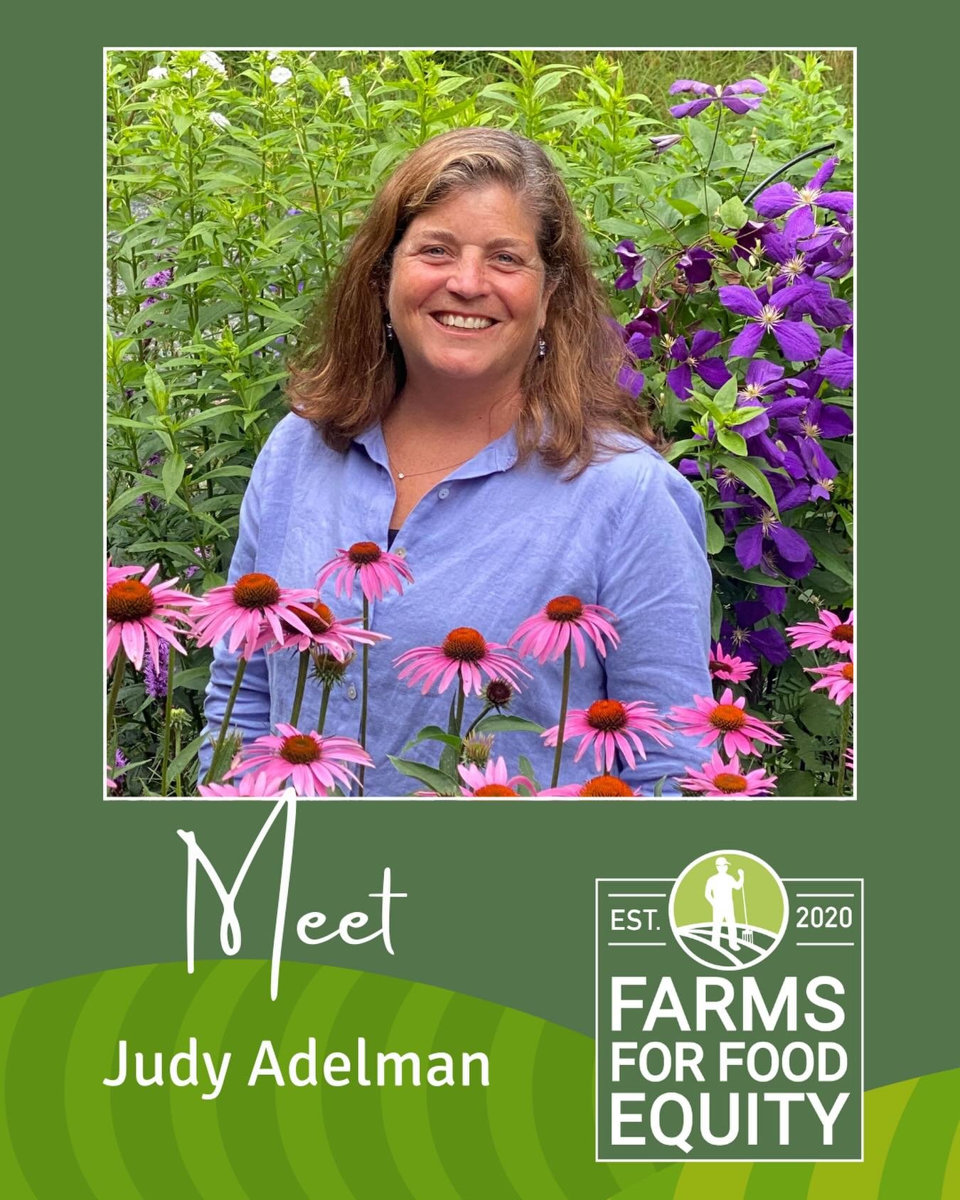 Meet the Board: Judy Adelman🌸🌿

Judy brings more than 20 years of land conservation experience in Maine to the Farms for Food Equity Board. She&rsquo;s deeply passionate about conservation, supporting local farmers and local economies, gardening, a