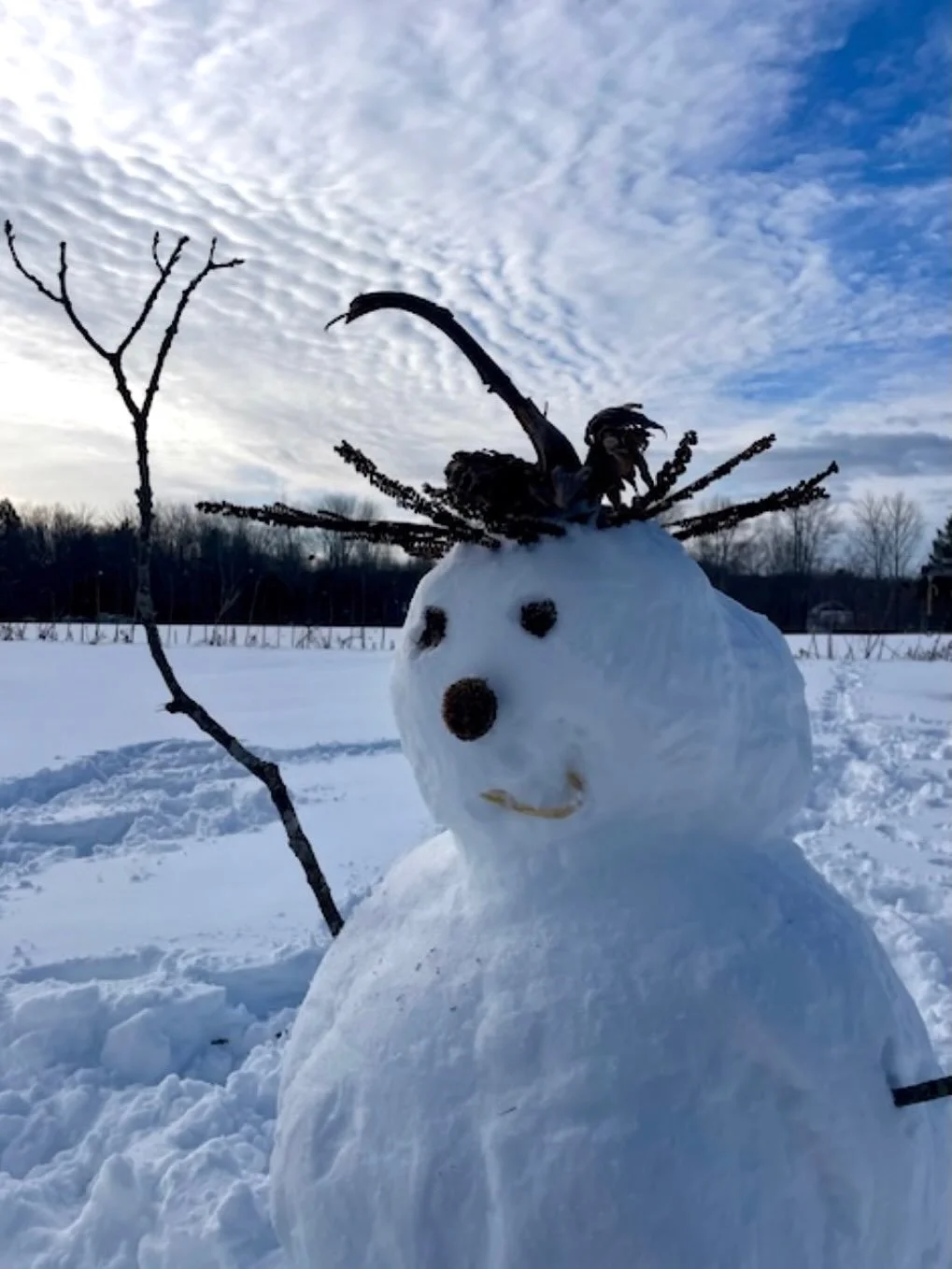 Ever wondered what winter looks like on a working farm? ❄️🌱

Join the crew at Six River Farm for a Winter Greenhouse Tour and get a behind-the-scenes look at what&rsquo;s growing in both heated and unheated high tunnels. Meet the farmers, walk the g