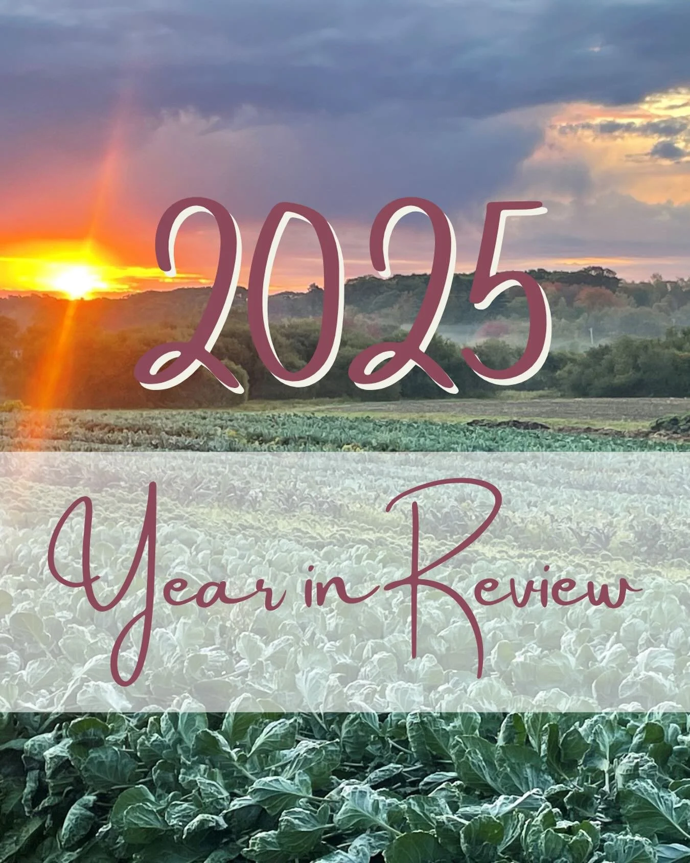 As we continue into a new year, we&rsquo;re pausing to reflect on 2025 &mdash; and to say thank you.💚

Because of this community, 176,000 pounds of fresh, locally grown vegetables reached more than 42 food pantries and partner organizations across M