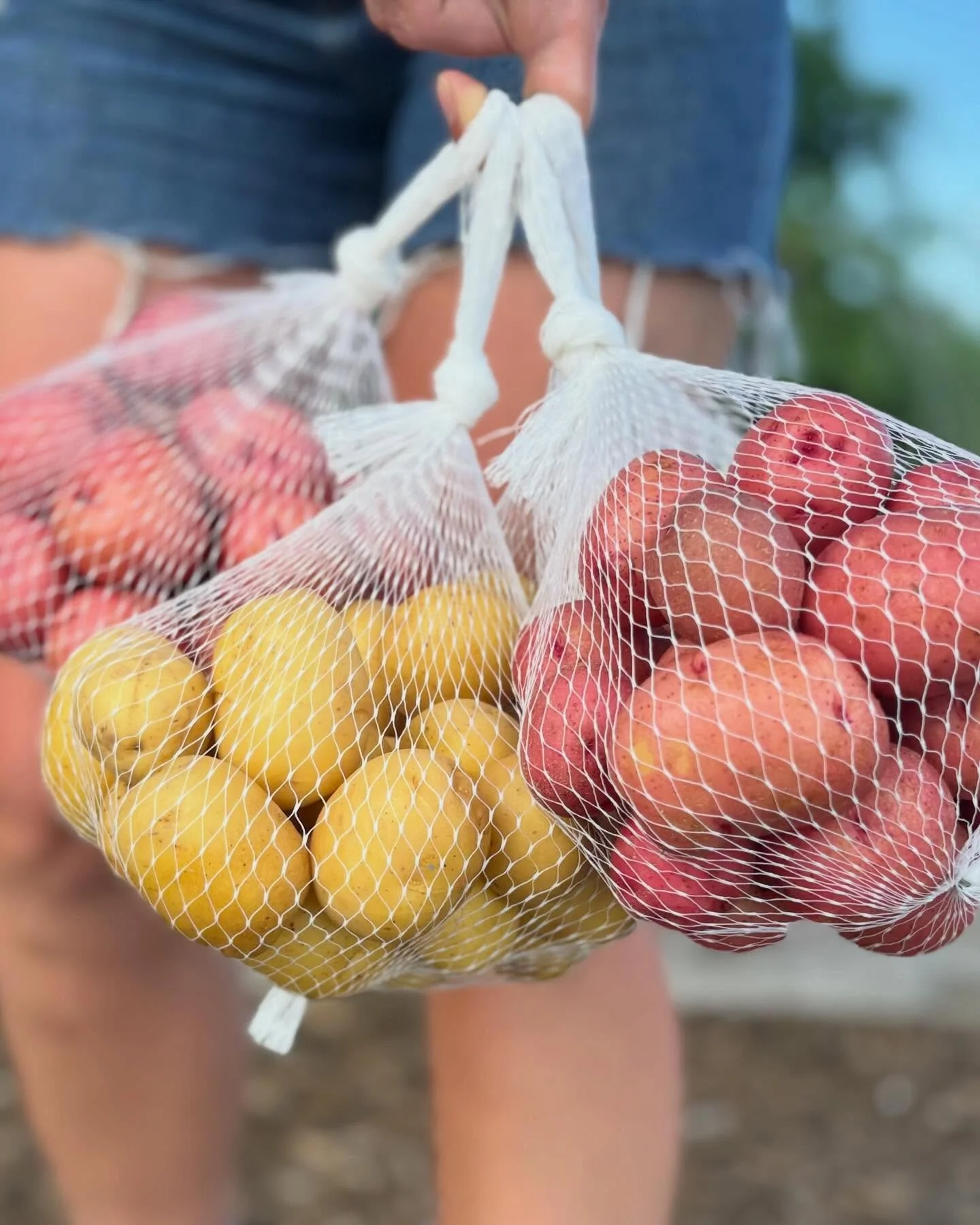 Crispy, golden, and endlessly satisfying&mdash;Chef Mike Wiley&rsquo;s hash browns are a breakfast game changer 🥔✨

What you&rsquo;ll need:
&bull; 2 russet potatoes
&bull; Salt

How to make them:
Scrub your potatoes (peel if you want, but leaving th