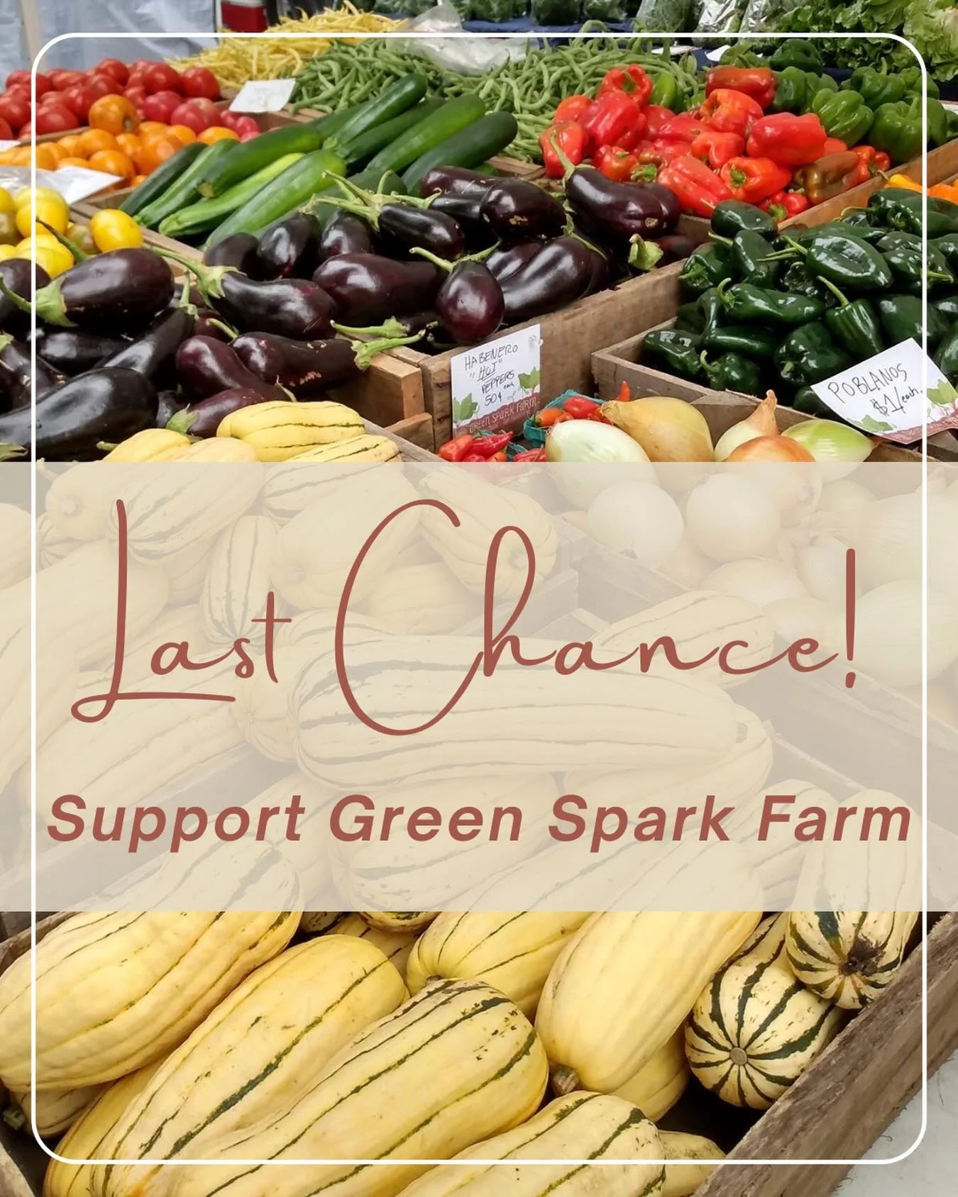 The Fund a Farm campaign for Green Spark Farm is closing this Sunday, May 17.

This is your last chance to support @greensparkfarm through this campaign and help strengthen local food systems while fighting food insecurity in our community.

👉 Click
