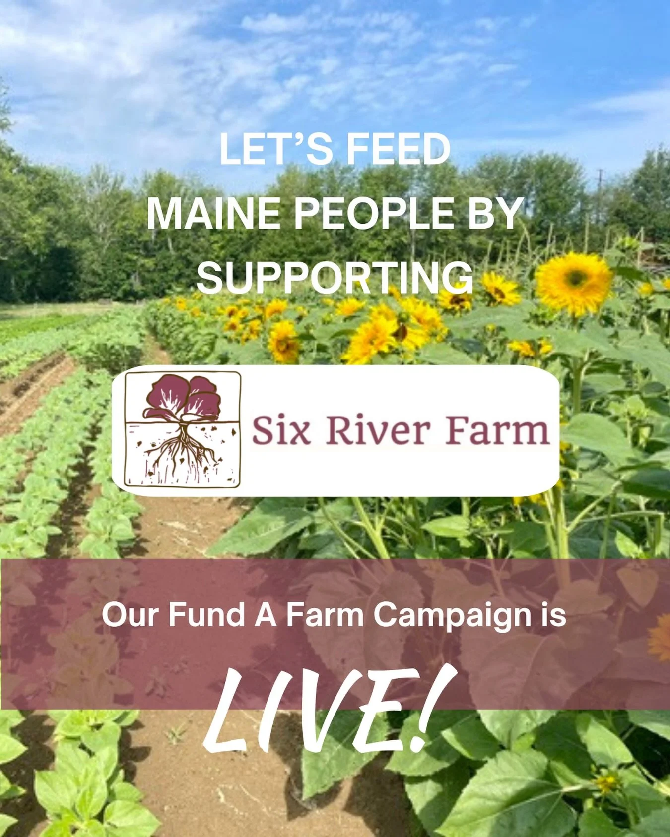 Fund a Farm for Six River Farm is back!

Our Fund a Farm campaign for Six River Farm is officially live! Every dollar raised will be used to purchase fresh, nutritious produce directly from Six River Farm and get it into the hands of people in our co