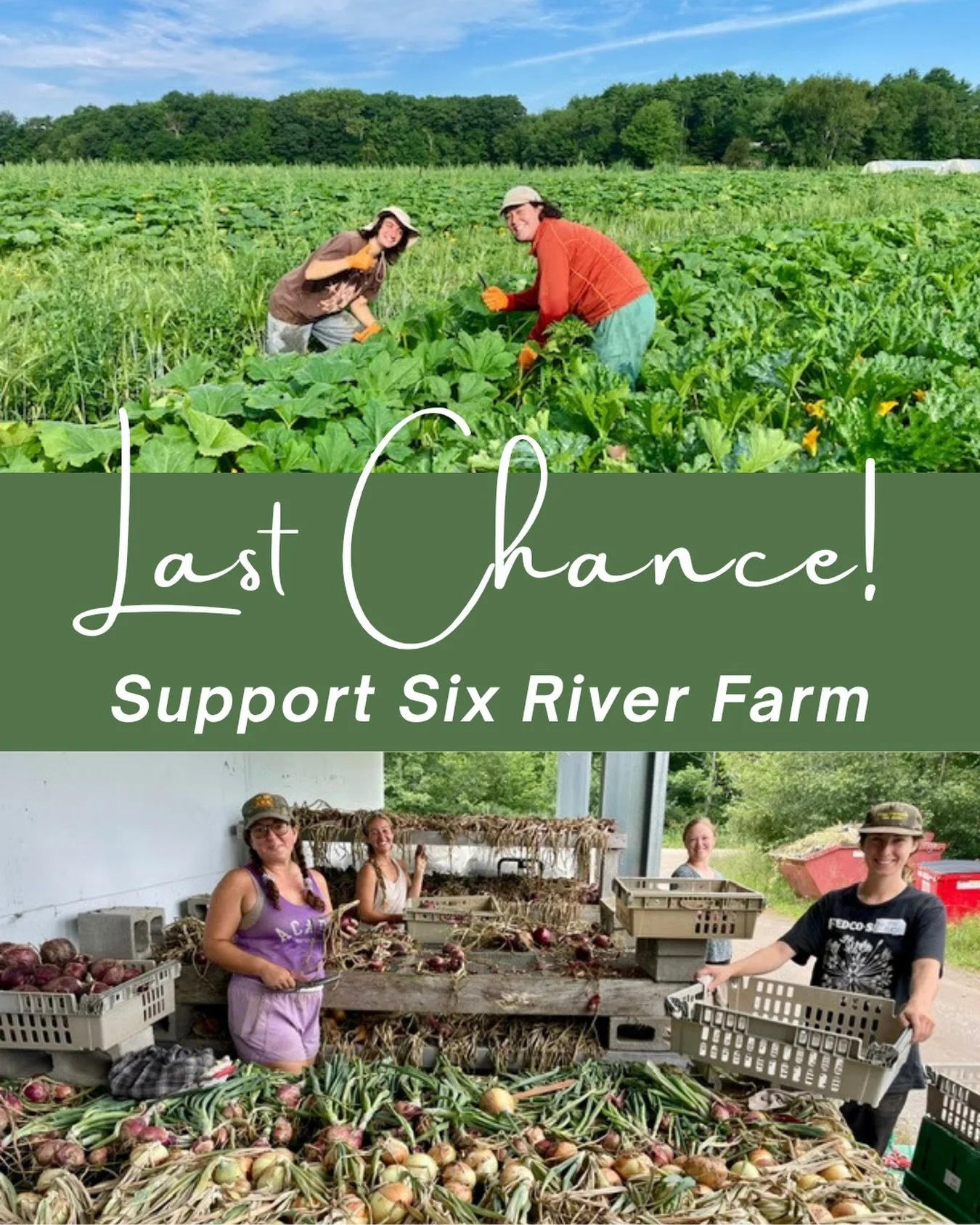 Last chance to support Six River Farm! 🌱

Our Fund a Farm campaign for Six River Farm closes Sunday, September 20! There&rsquo;s still time to make a difference and help us purchase fresh, local produce directly from the farm and get it to people in