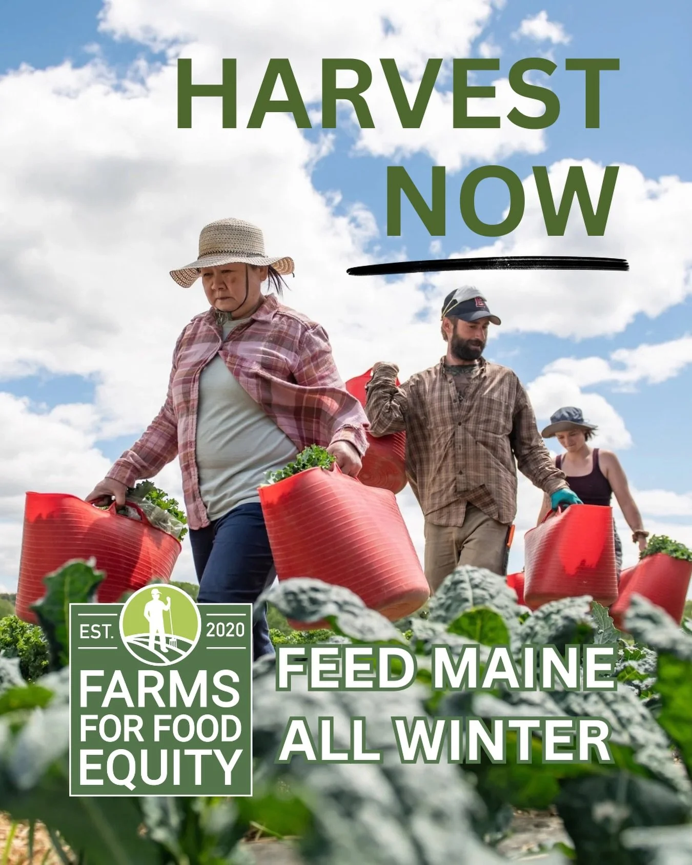 ❗️URGENT❗️THE FOOD IS IN THE FIELDS

Maine farmers have fresh produce ready to harvest right NOW&mdash;and Farms for Food Equity has the opportunity to purchase that food and get it to our distribution partners to be processed and frozen for the Main