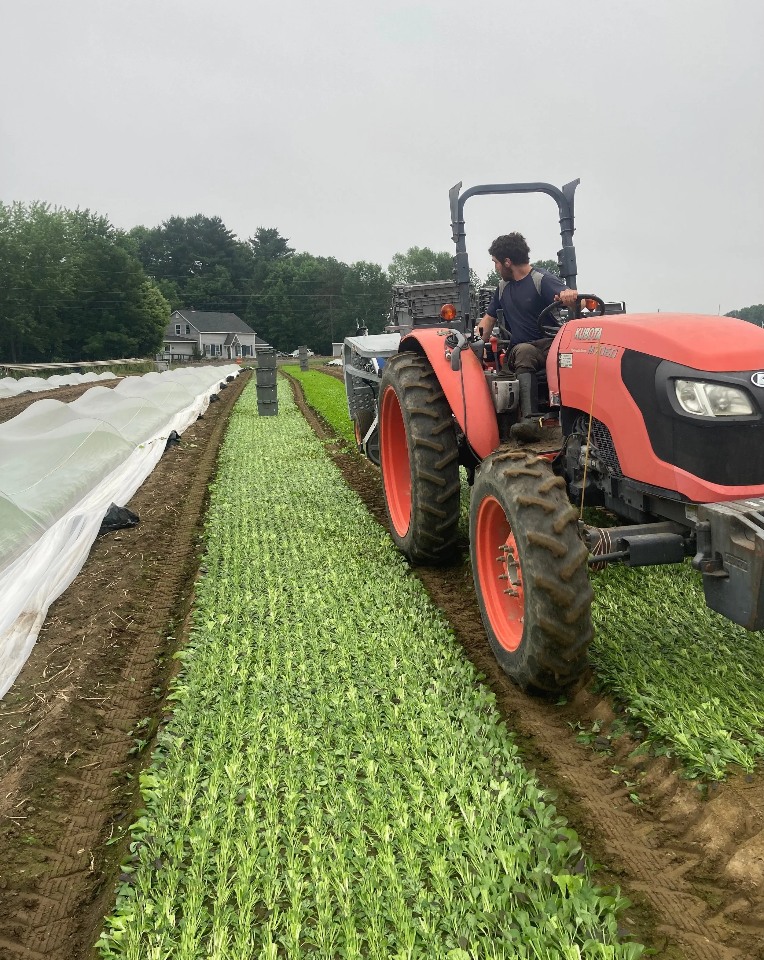👩&zwj;🌾 &ldquo;We started Two Farmers Farm because we wanted to make a tangible positive impact on our community, and Farms for Food Equity helps us do that!&rdquo;

No matter how specifically they plan, Two Farmers Farm has an oversupply at some p