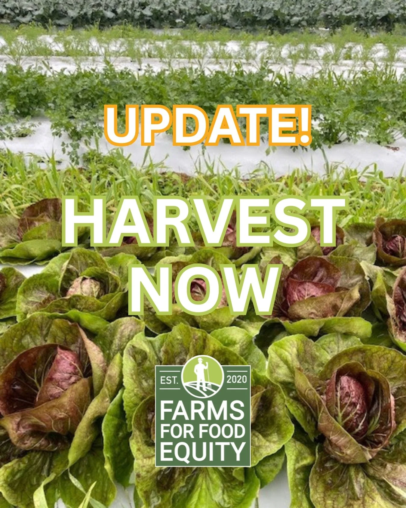 🚨 YOUR GIFT CAN GO TWICE AS FAR!

We have some exciting news: two incredibly generous donors have agreed to match every donation to Harvest Now, up to $5,000!

That means your donation can have double the impact as we work toward our goal of raising