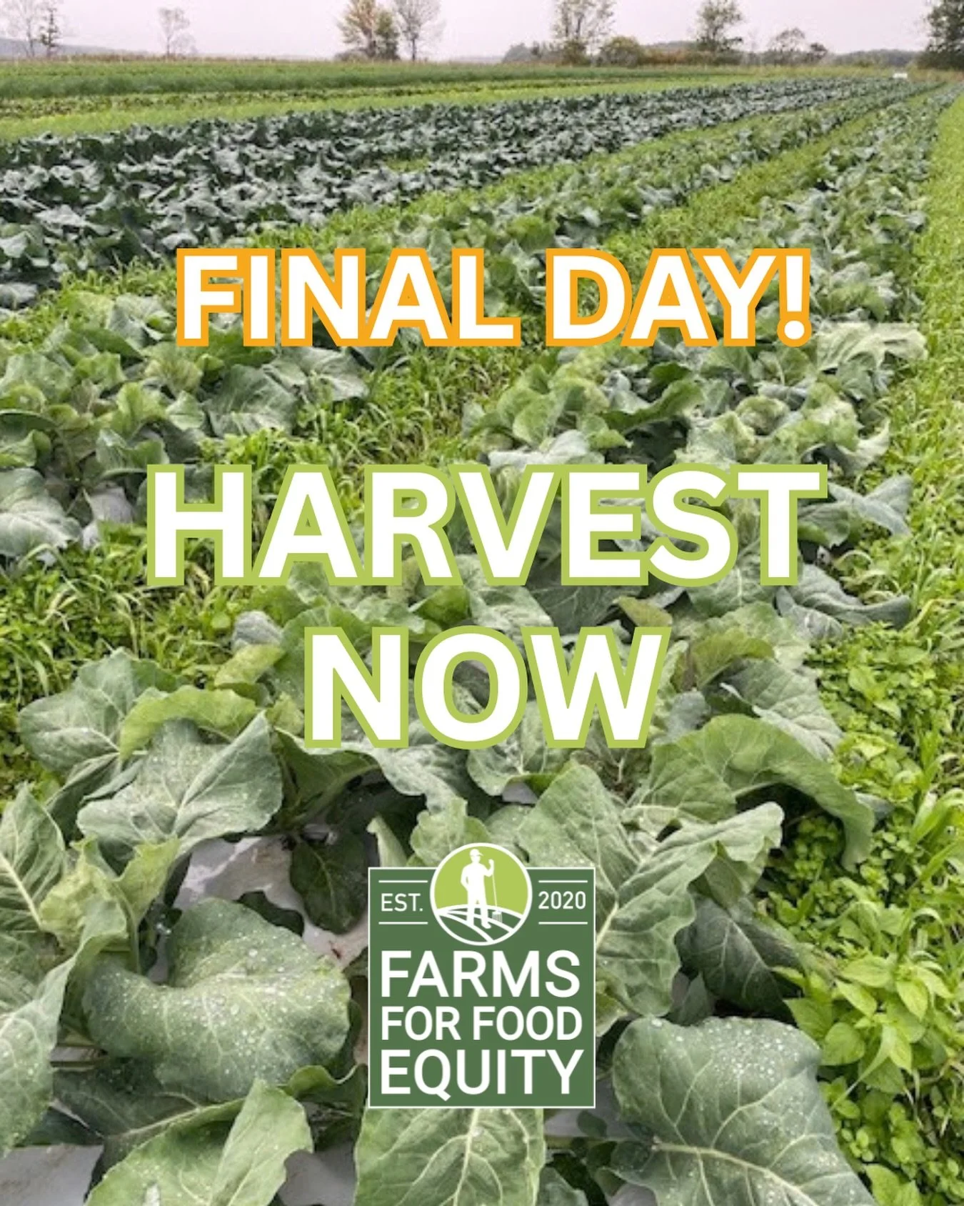 ⏰ TODAY IS THE FINAL DAY TO HARVEST NOW!

Our fundraising campaign ends tonight, and we&rsquo;re making one last push to reach our $10,000 goal to purchase approximately 11,000 pounds of fresh Maine produce for our hunger relief partners.

There is s