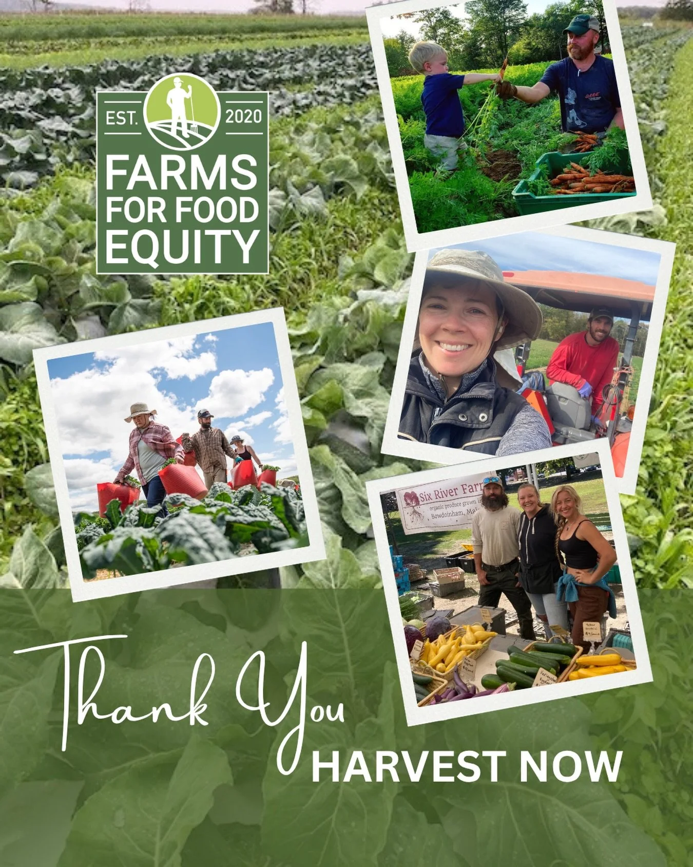 YOU DID IT! 💚 

Harvest NOW was a huge success, and we are constantly blown away by the generosity of this community.

Because of you, we can help purchase fresh Maine produce from farmers, get it to our distribution partners, and turn this season&r