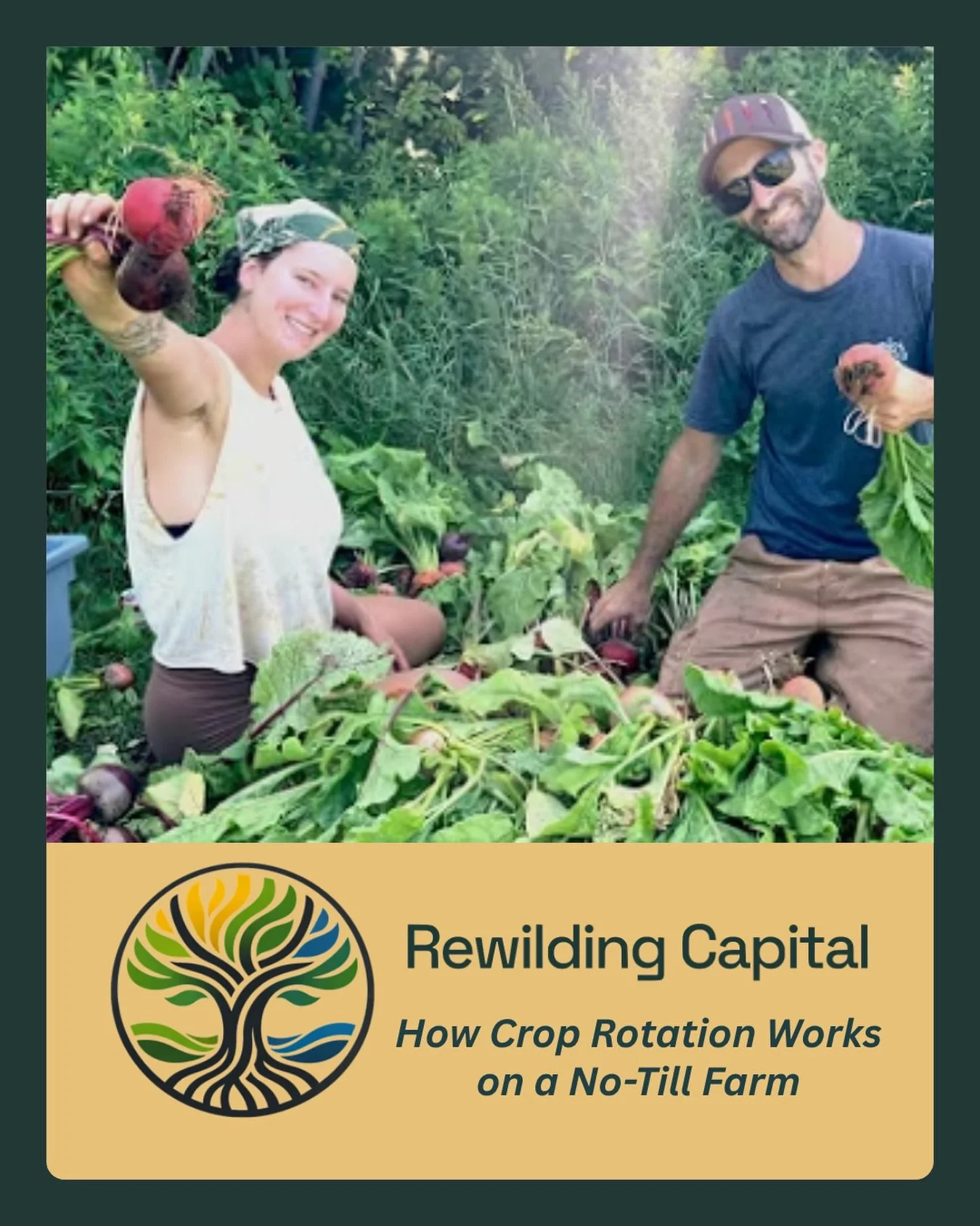 We love supporting our farmers and the organizations working hard to help them put down roots. 🌱

At Winslow Farm in Falmouth, Maine, farmer Max Boudreau shares how a three-year crop rotation works within a diversified, no-till vegetable system.

We
