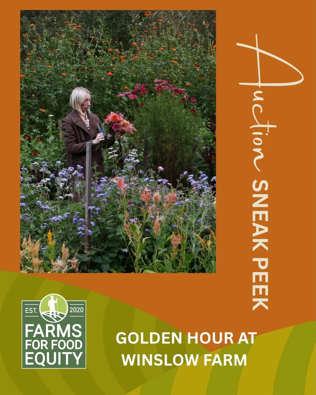 Our ONE MILLION POUNDS &amp; COUNTING auction is almost here, and we have some wonderful items up for grabs!

Here&rsquo;s a little preview of what you can bid on:

🌸 A golden-hour evening of flowers and farm-fresh food at Winslow Farm
🍳 A private 