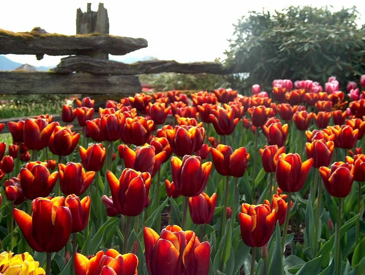 4-22-06 088.jpg